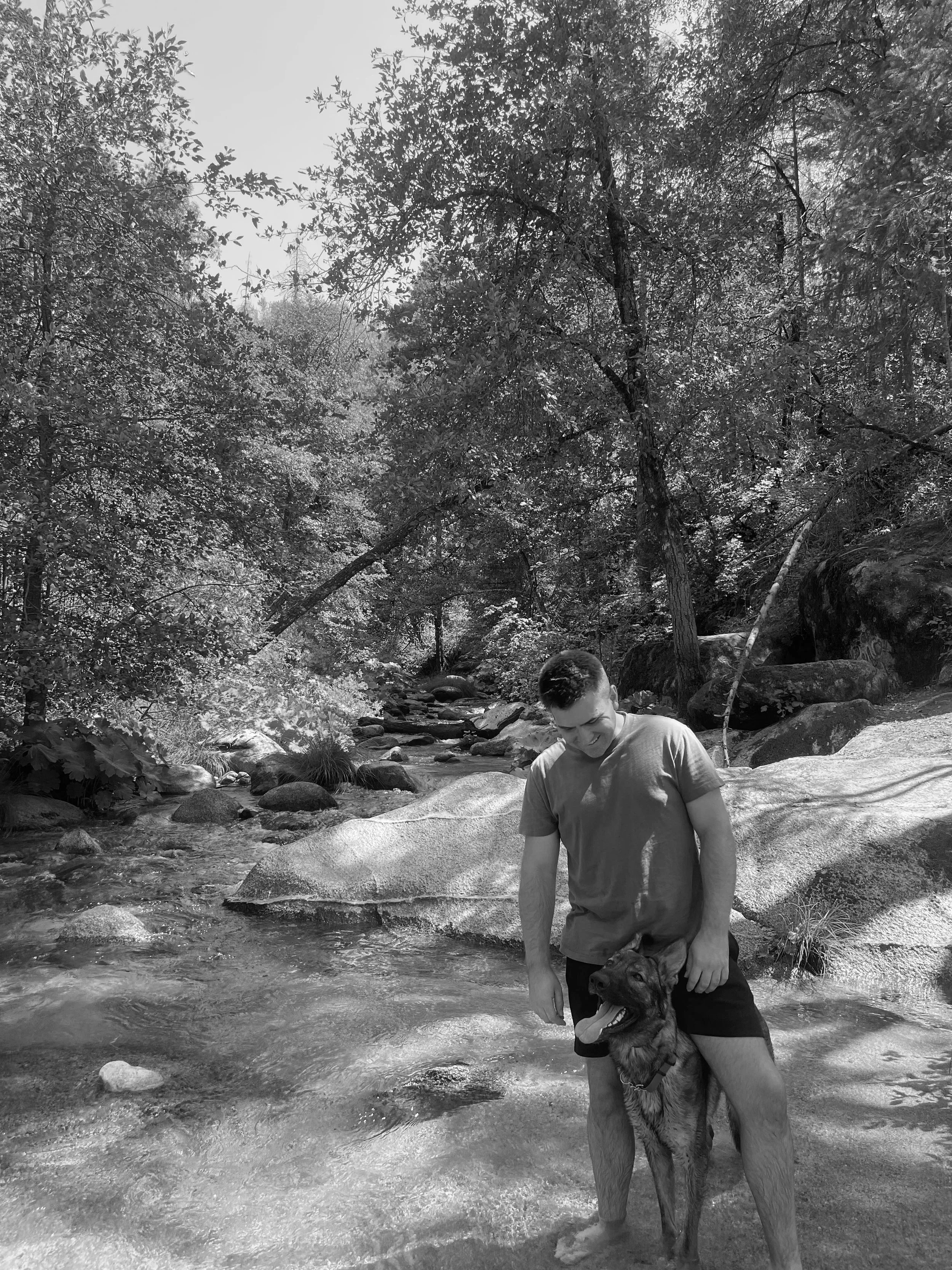 A man and dog standing in a creek surrounded by trees and rocks in a forest.