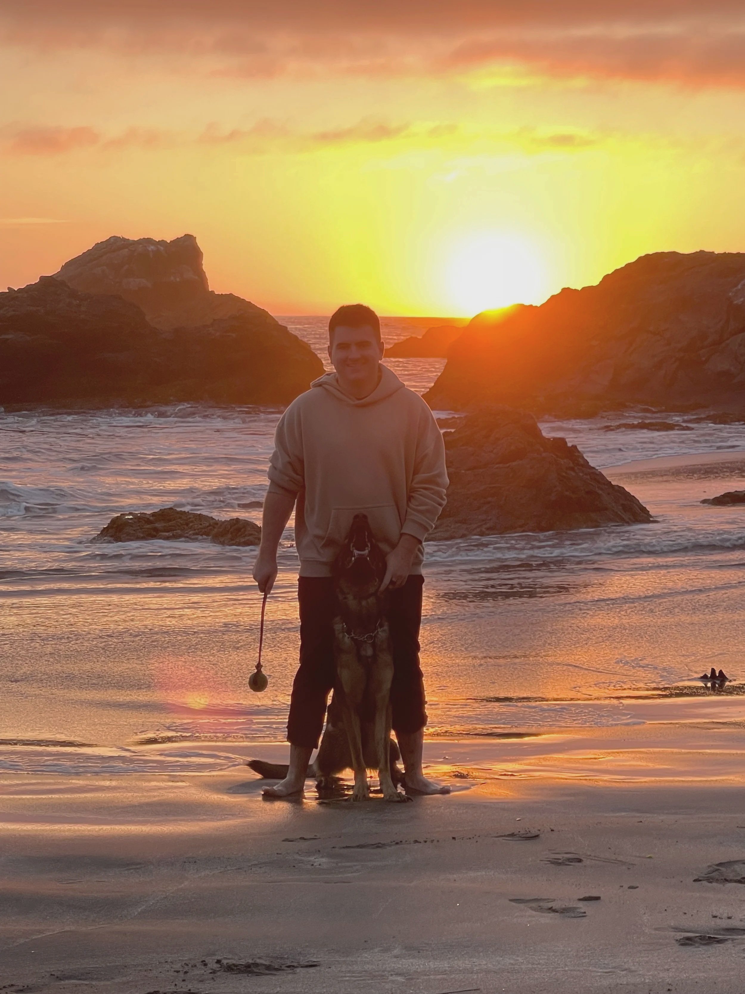 A person standing on a sandy beach with a dog during sunset, with rocks and the ocean in the background.