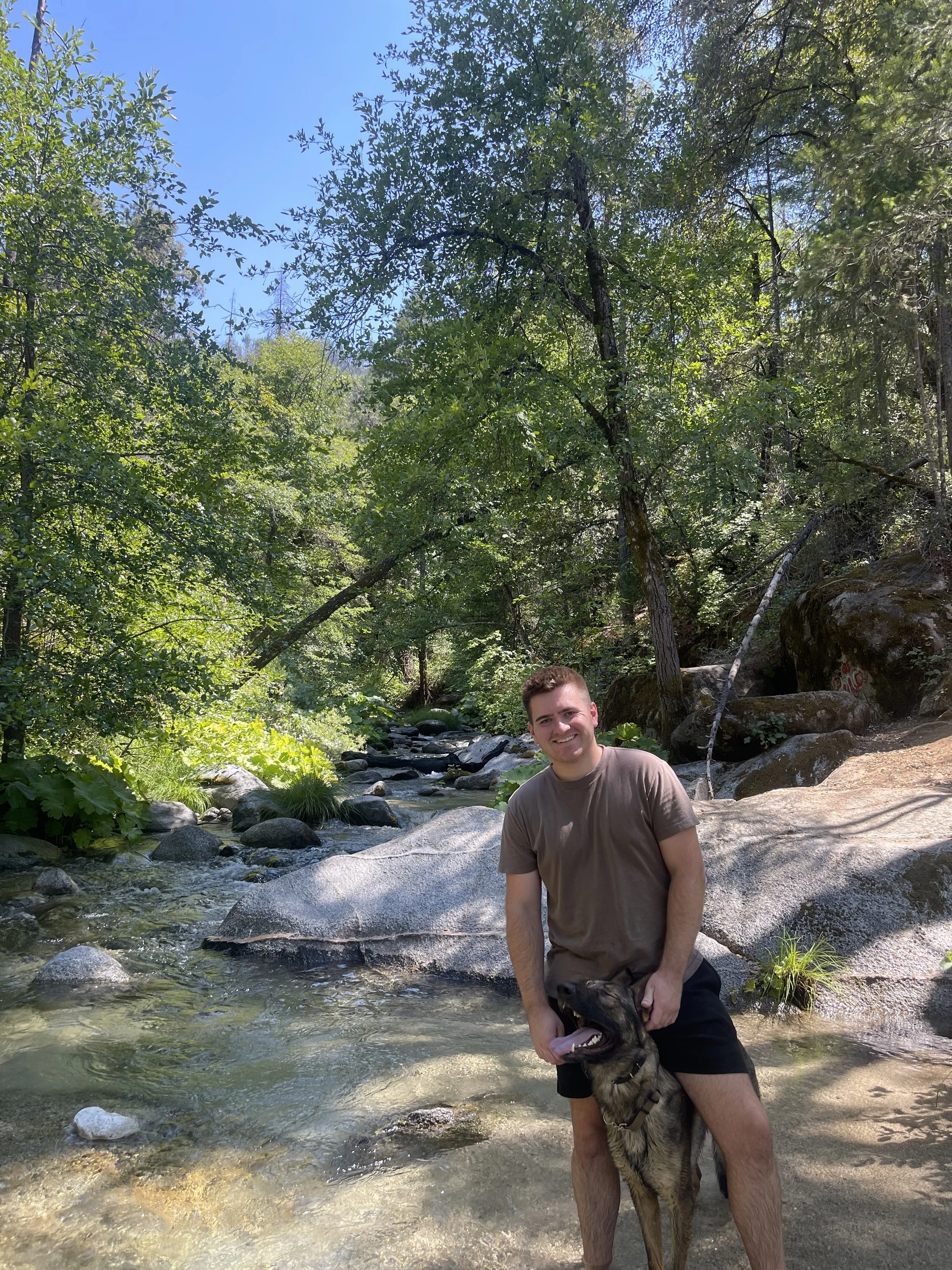 A man and a dog standing in a creek in a forested area on a sunny day.