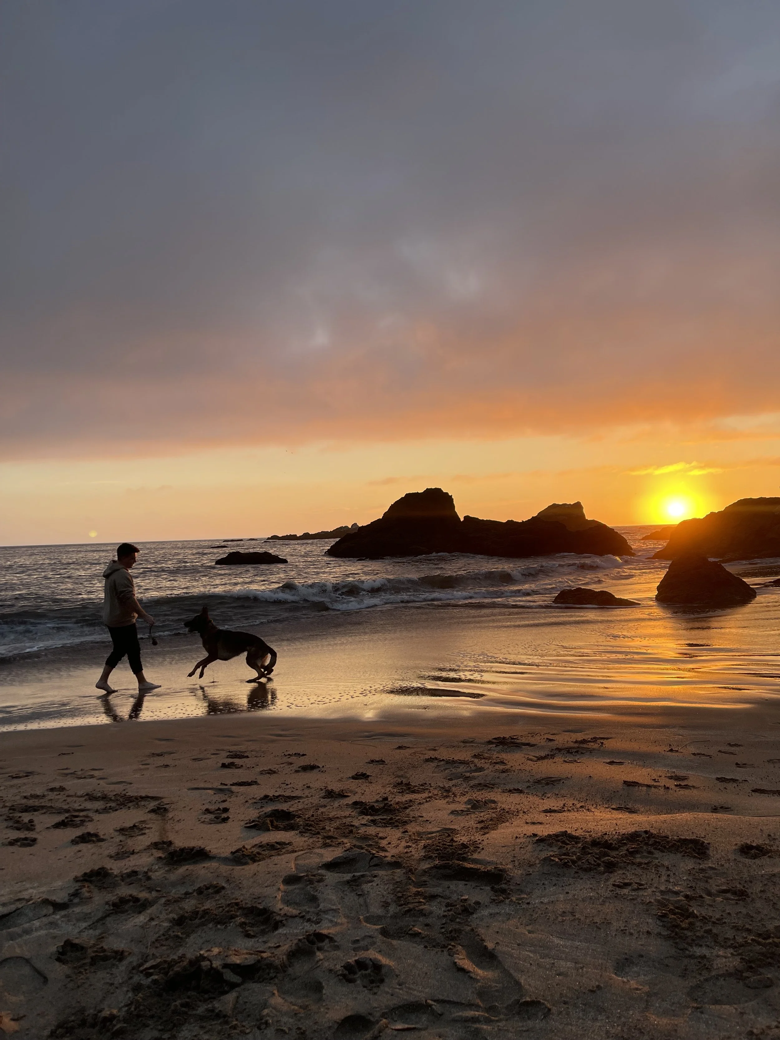A person walking a dog along the beach at sunset, with rocks in the water and a cloudy sky.