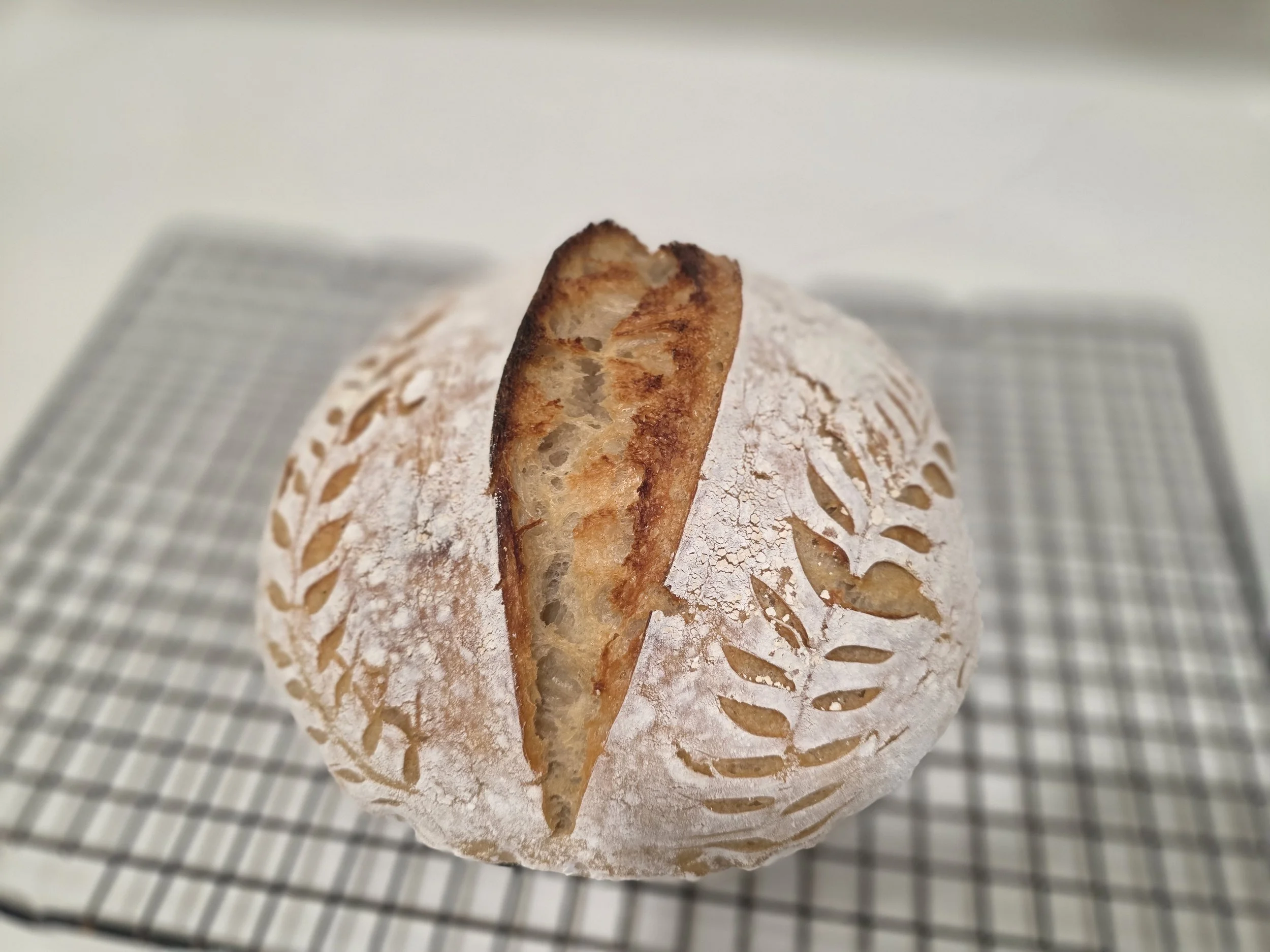 The Soulz Starter (Classic Artisan Sourdough)