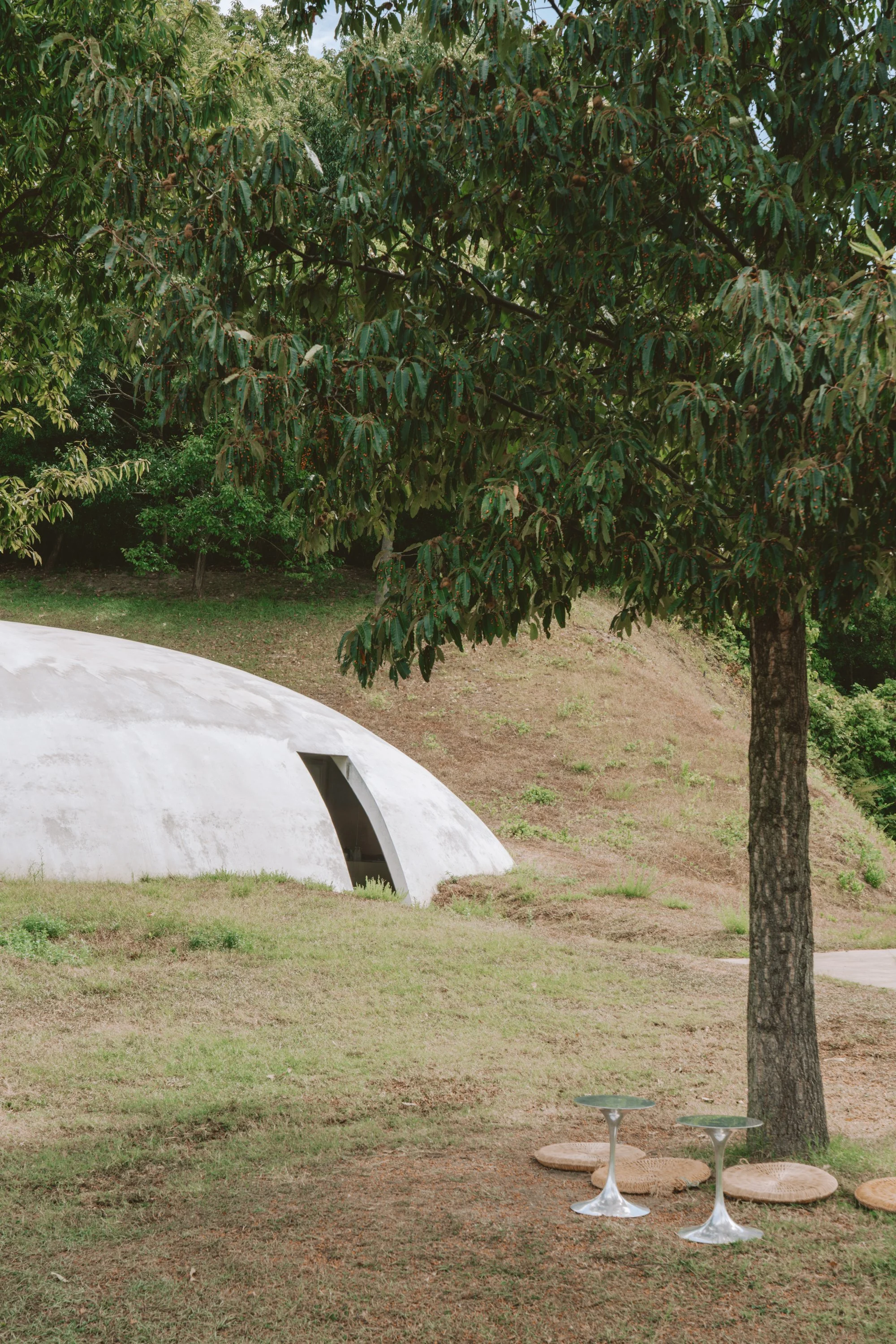 Teshima Art Museum Cafe-photo_anaskobe (10).jpg