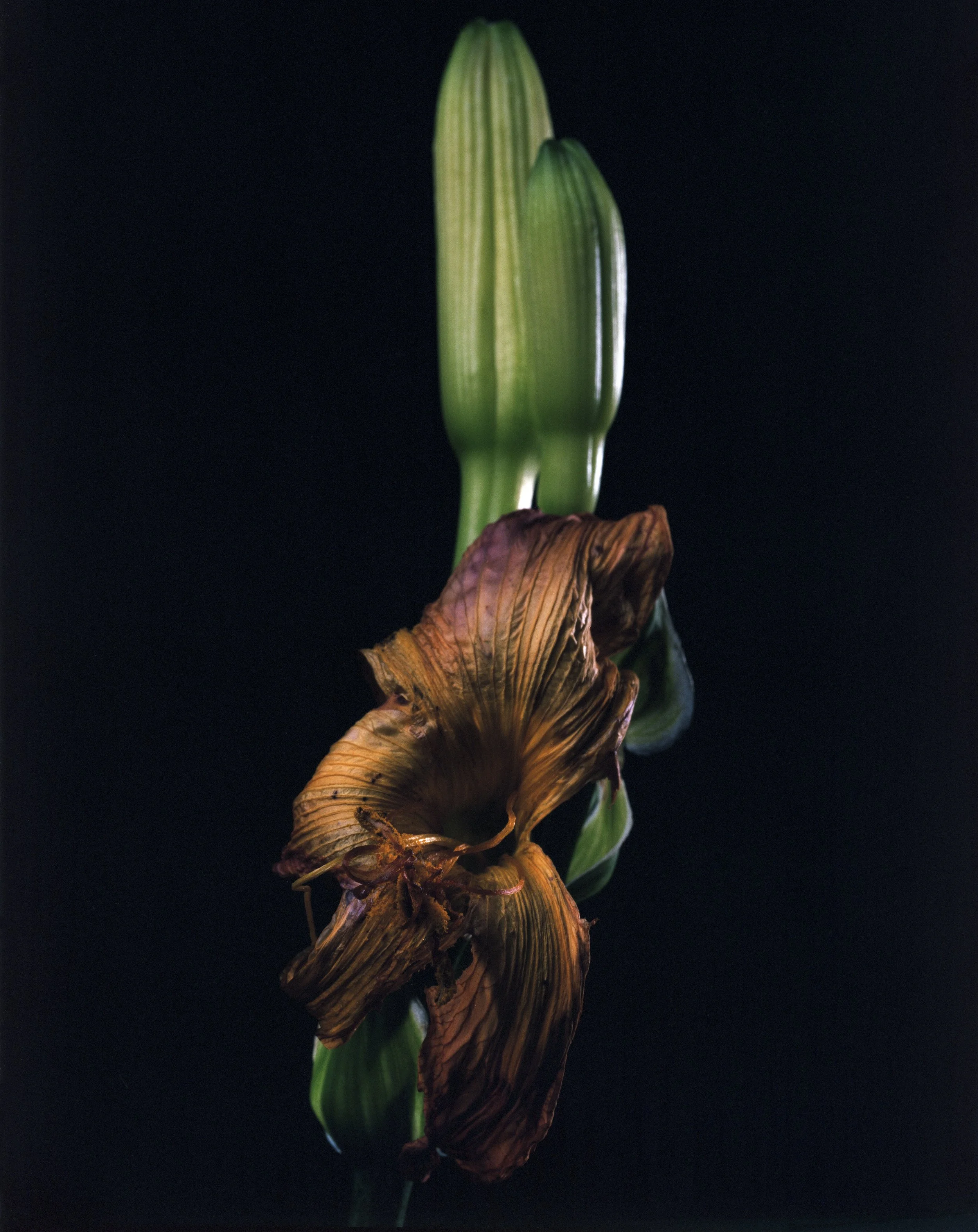 Untitled (4)-Edit.jpg