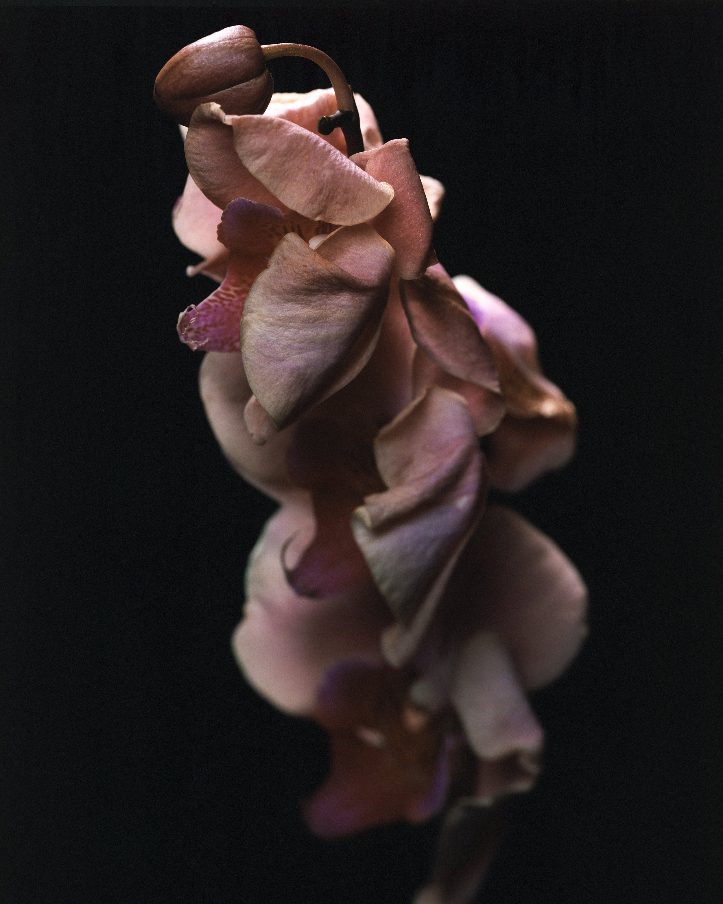 Untitled (5)-Edit.jpg