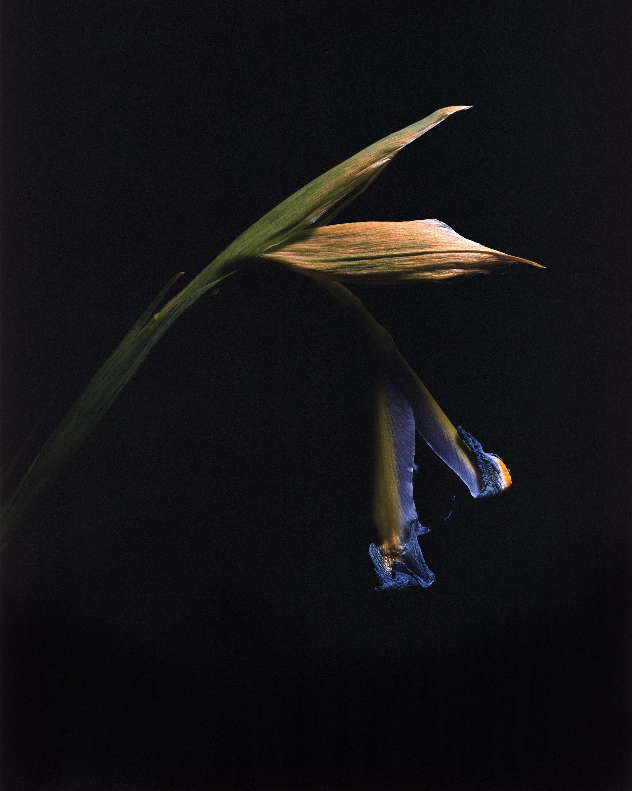 Untitled (9)-Edit.jpg