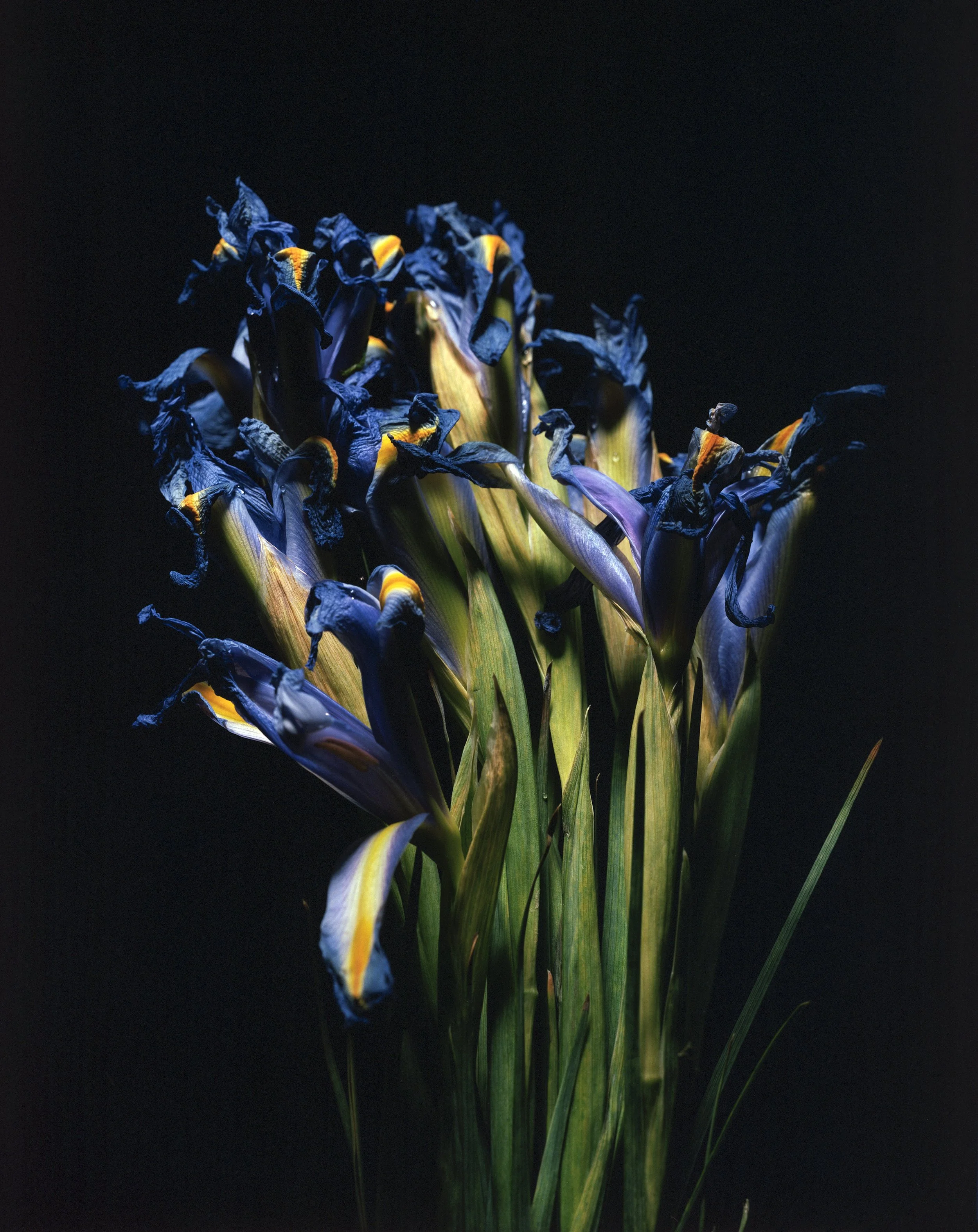 Untitled (2)-Edit.jpg