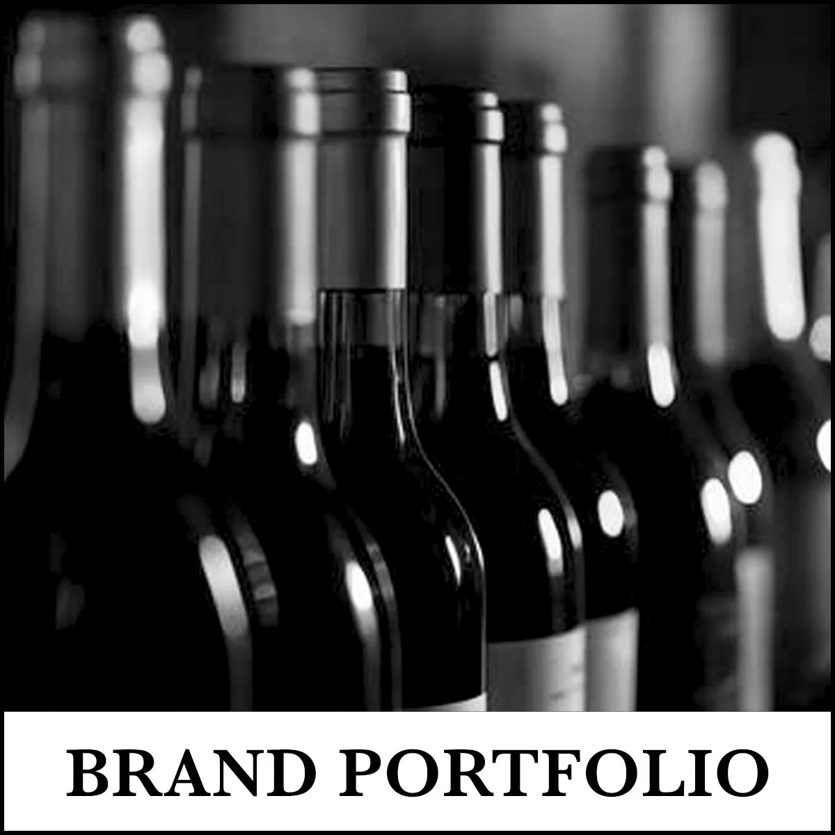 Black and white photo of wine bottles on a shelf, with the label 'Brand Portfolio' at the bottom.
