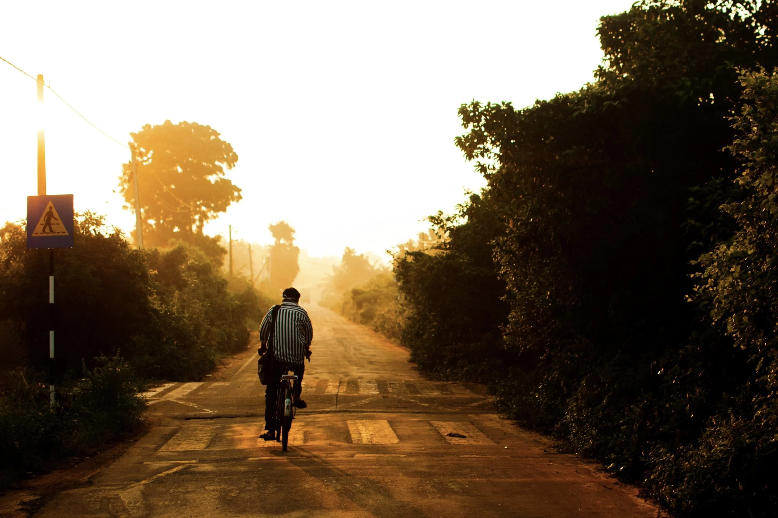 Person riding a bicycle on a rural dirt road at sunset, surrounded by trees and a pedestrian crossing sign on the left.