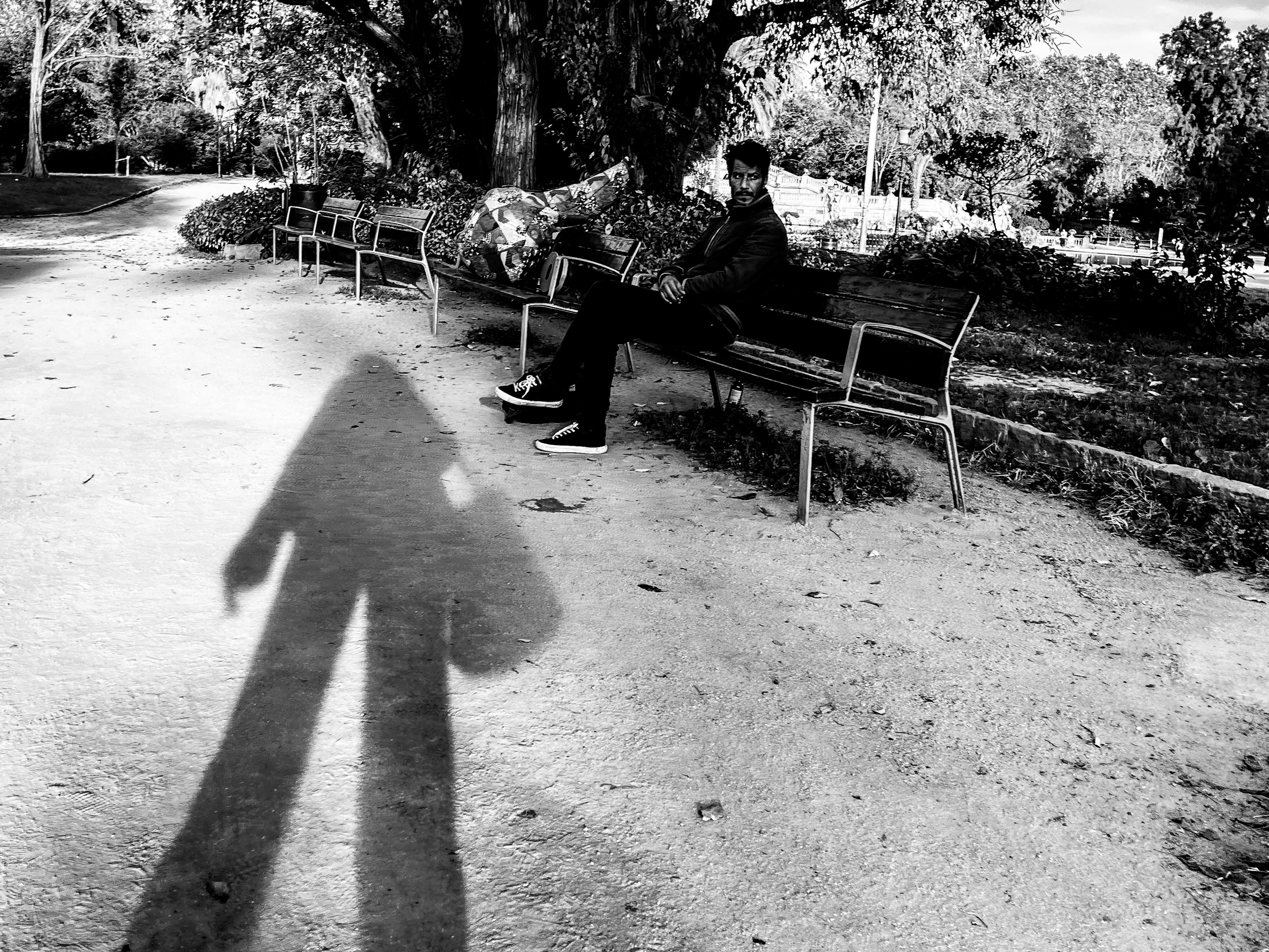 A black and white photo of a man sitting on a park bench next to a large tree, with their shadow cast on the ground. There are more benches, trees, and park features visible in the background.