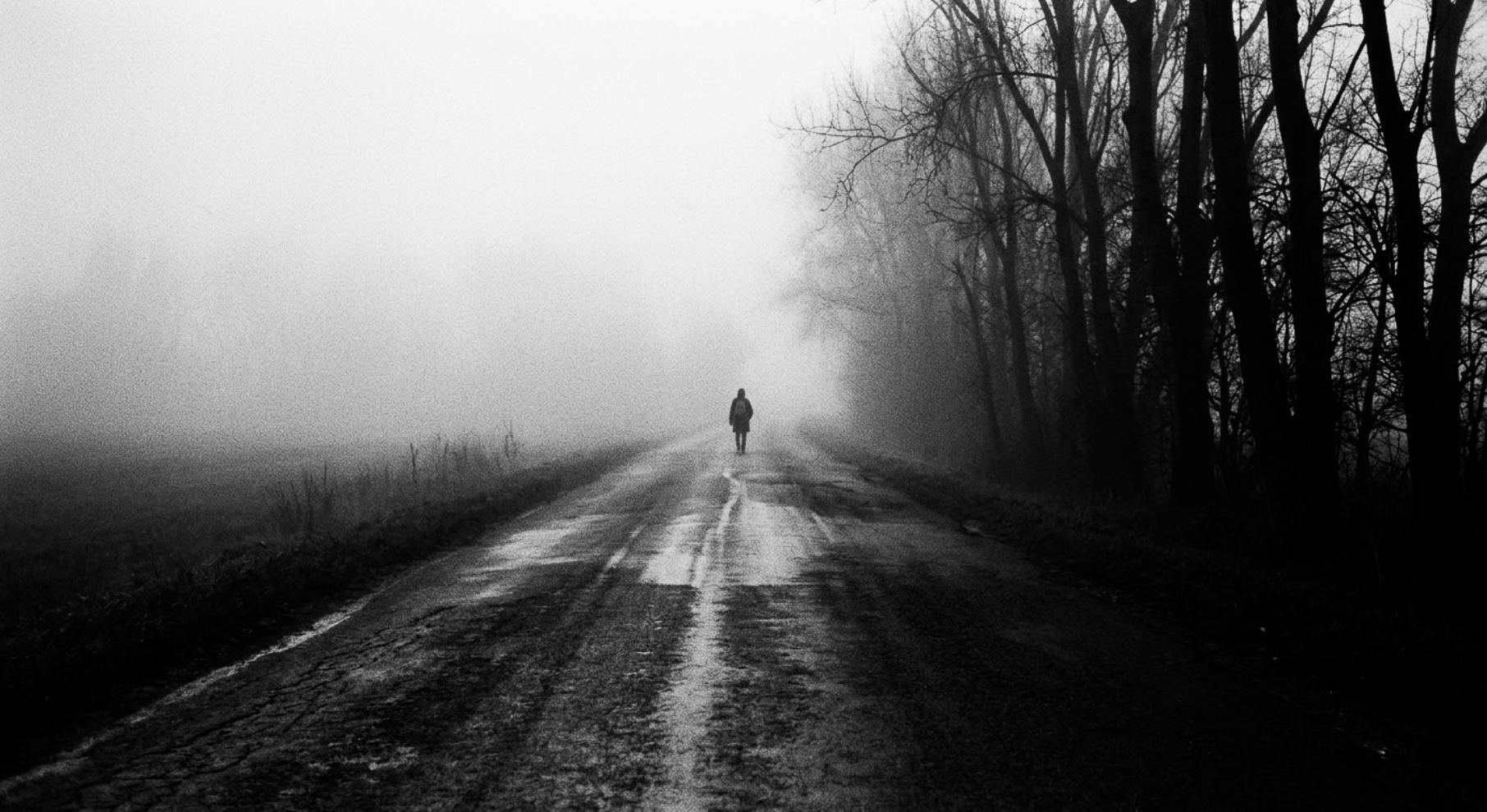 A solitary figure walking down a misty, dirt road lined with leafless trees on a foggy day.