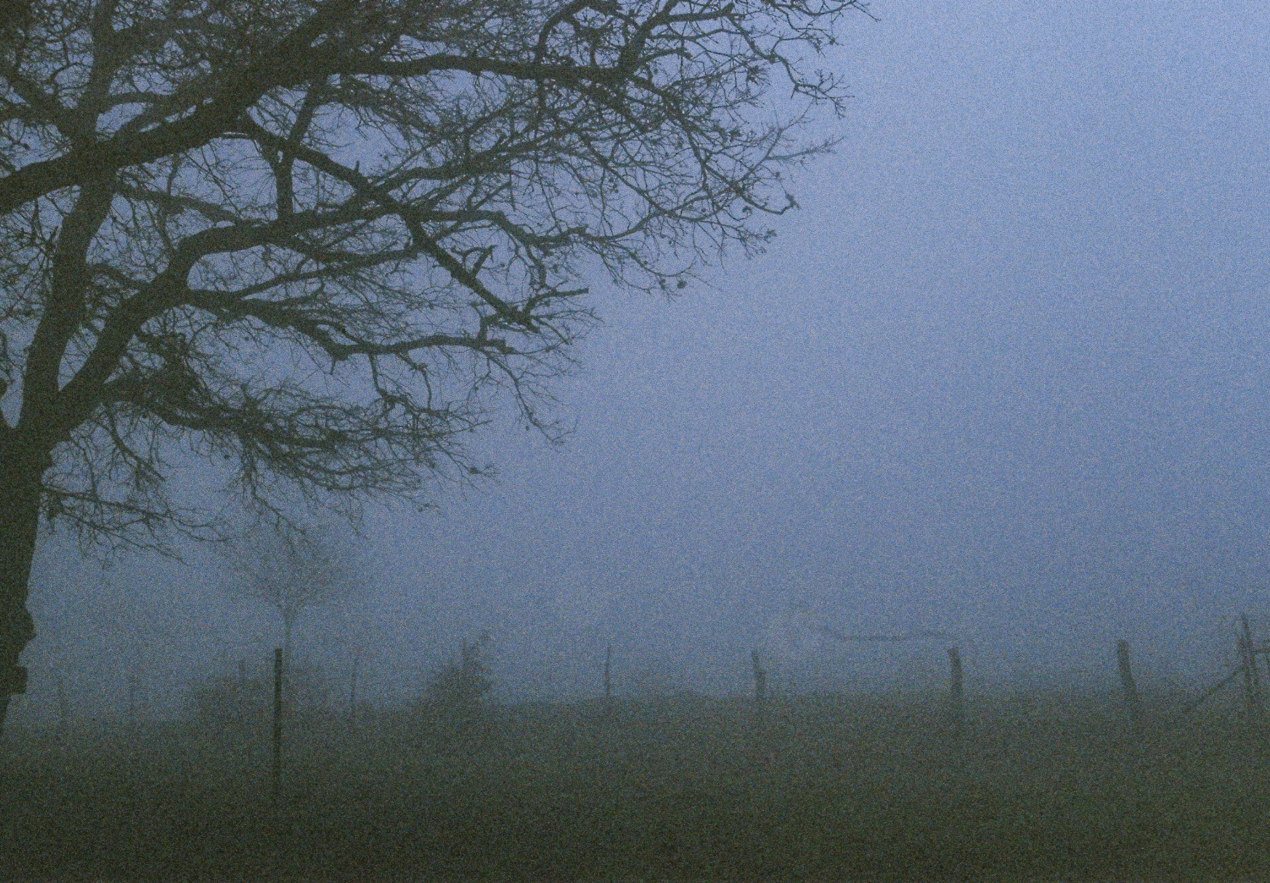 A tall leafless tree stands in the foreground against a cloudy, blue-gray sky, with a distant church steeple visible near the horizon. Faint outlines of fence posts are seen in the lower part of the image.