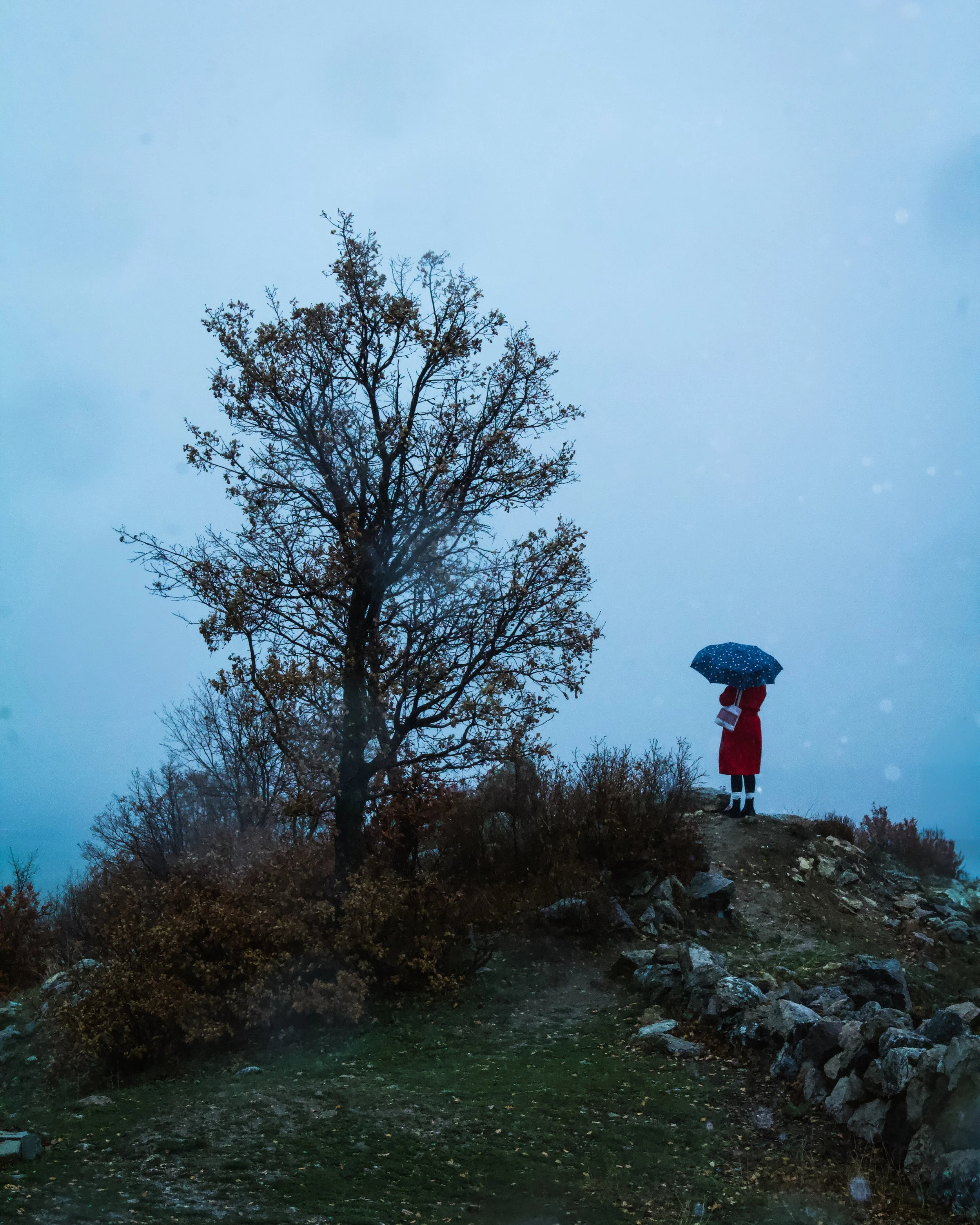 A person in a red coat holding an umbrella stands on a hilltop beside a leafless tree during dusk, with foggy surroundings and small rocks on the ground.