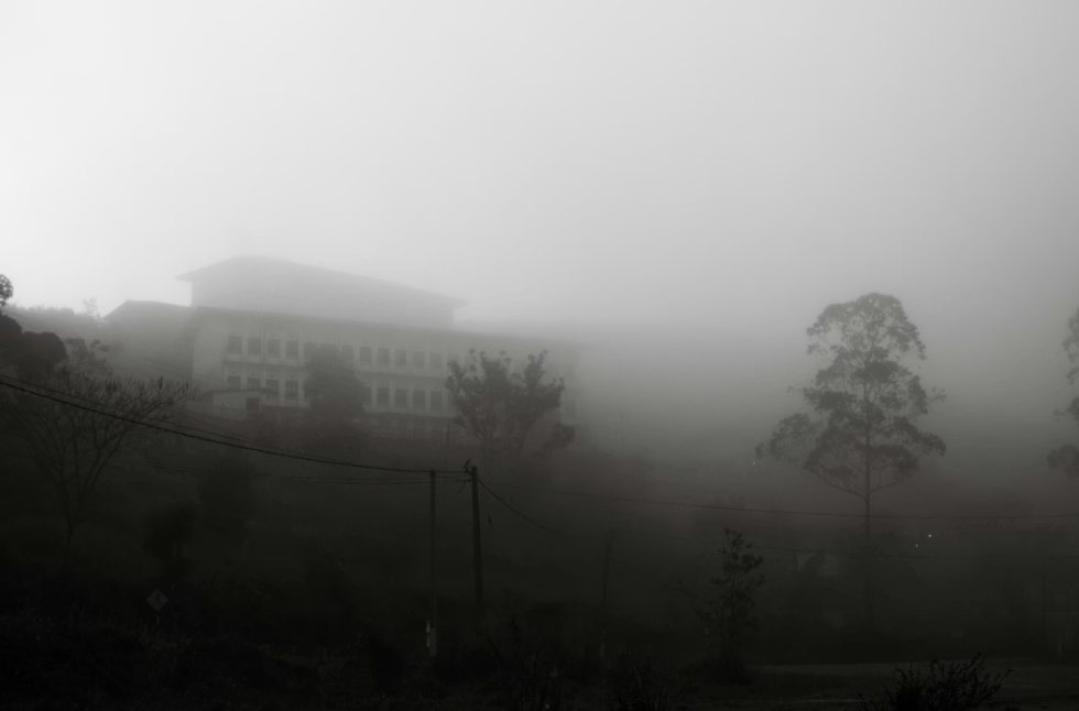 A foggy landscape with a large building on a hill, trees, and power lines.