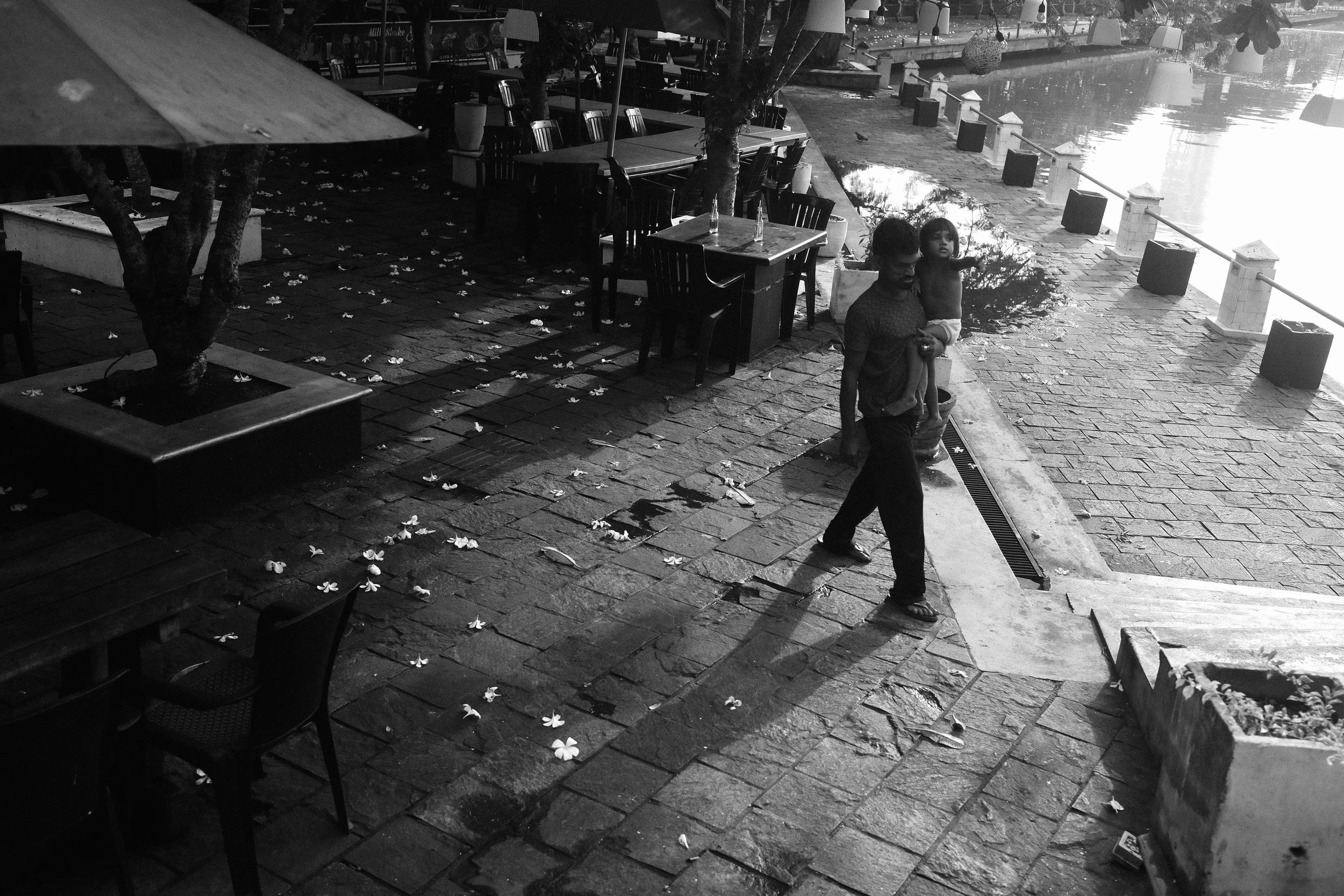 A man walking along a waterfront promenade carrying a young child, with scattered flowers on the brick pathway and empty outdoor dining tables nearby, during sunset or sunrise.