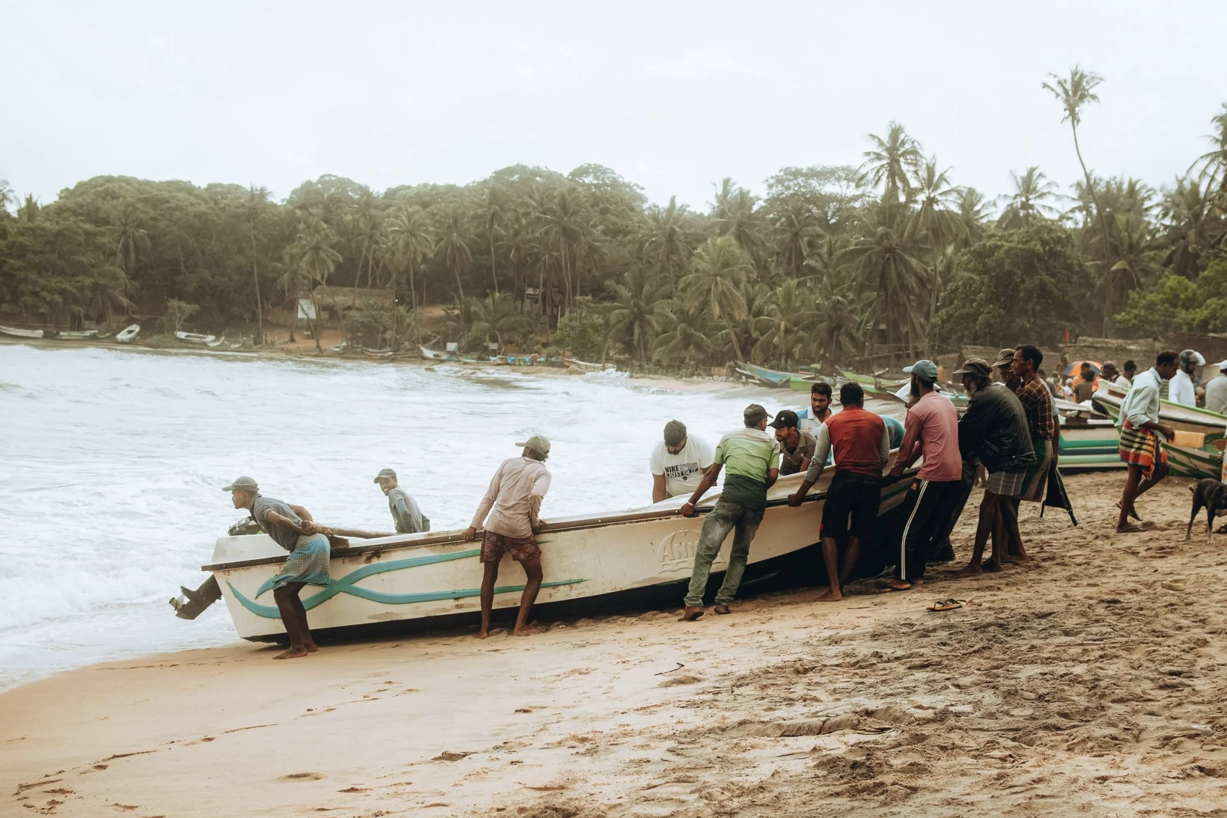People pushing a boat into the water on a beach with palm trees in the background.