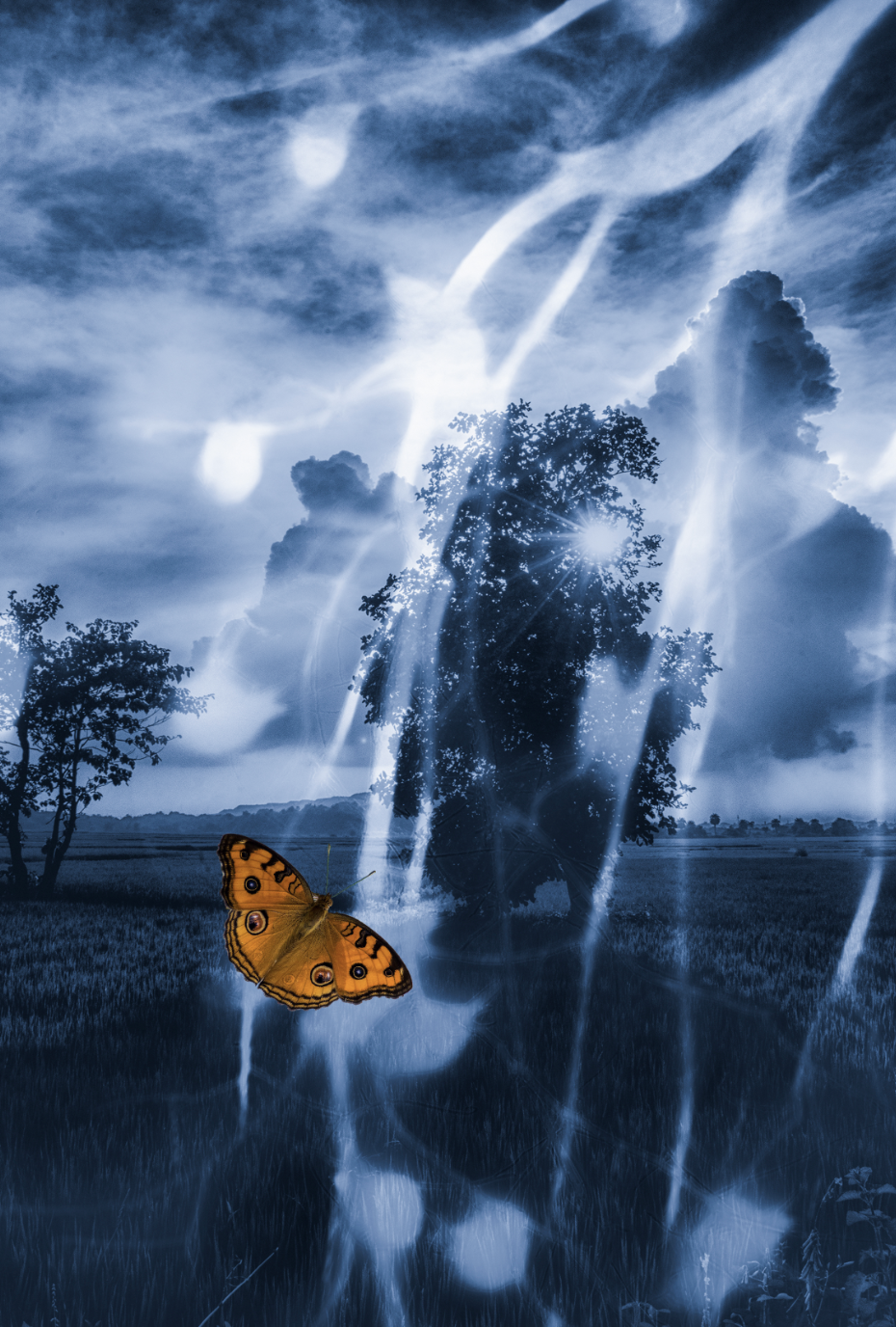 A surreal landscape with a large tree, dramatic clouds, and streaks of light in the sky, featuring a bright orange butterfly in the foreground.