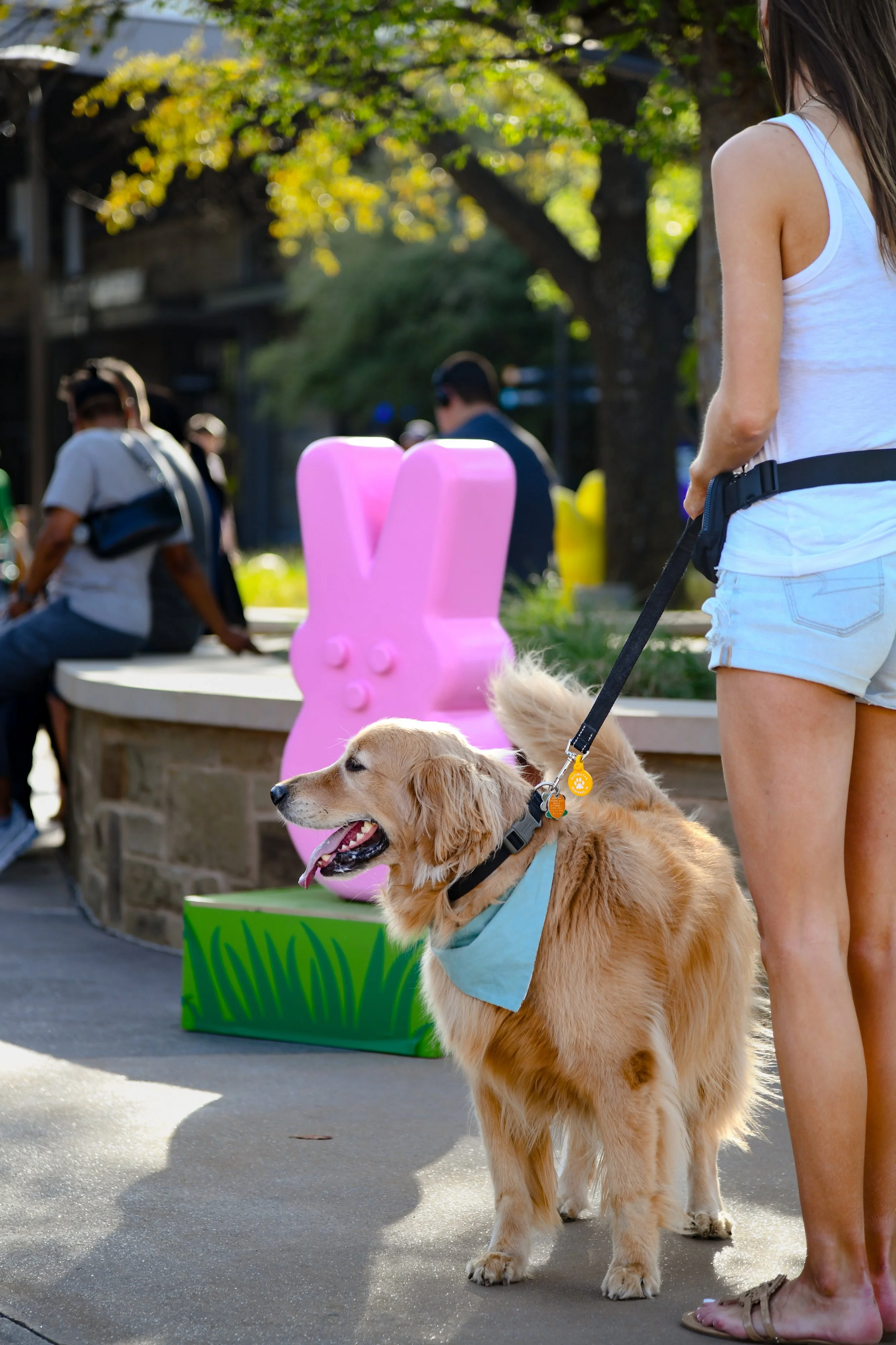 pups and peeps-13.jpg