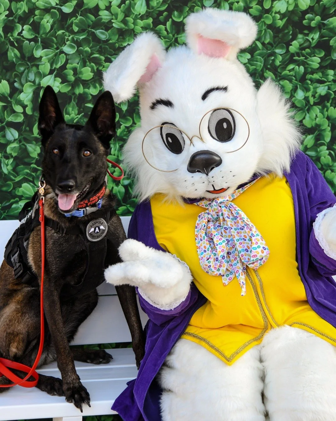 Peeps &amp; Pups 🐾🐣 We can create a memorable experience for the whole family (even your fur babies).