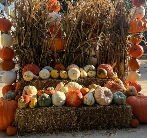 Screenshot 2026-01-25 at 11.55.04 AM.png