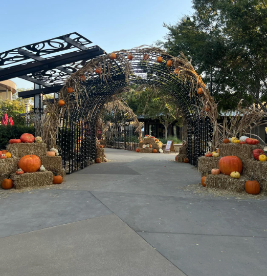 Screenshot 2026-01-25 at 11.55.11 AM.png