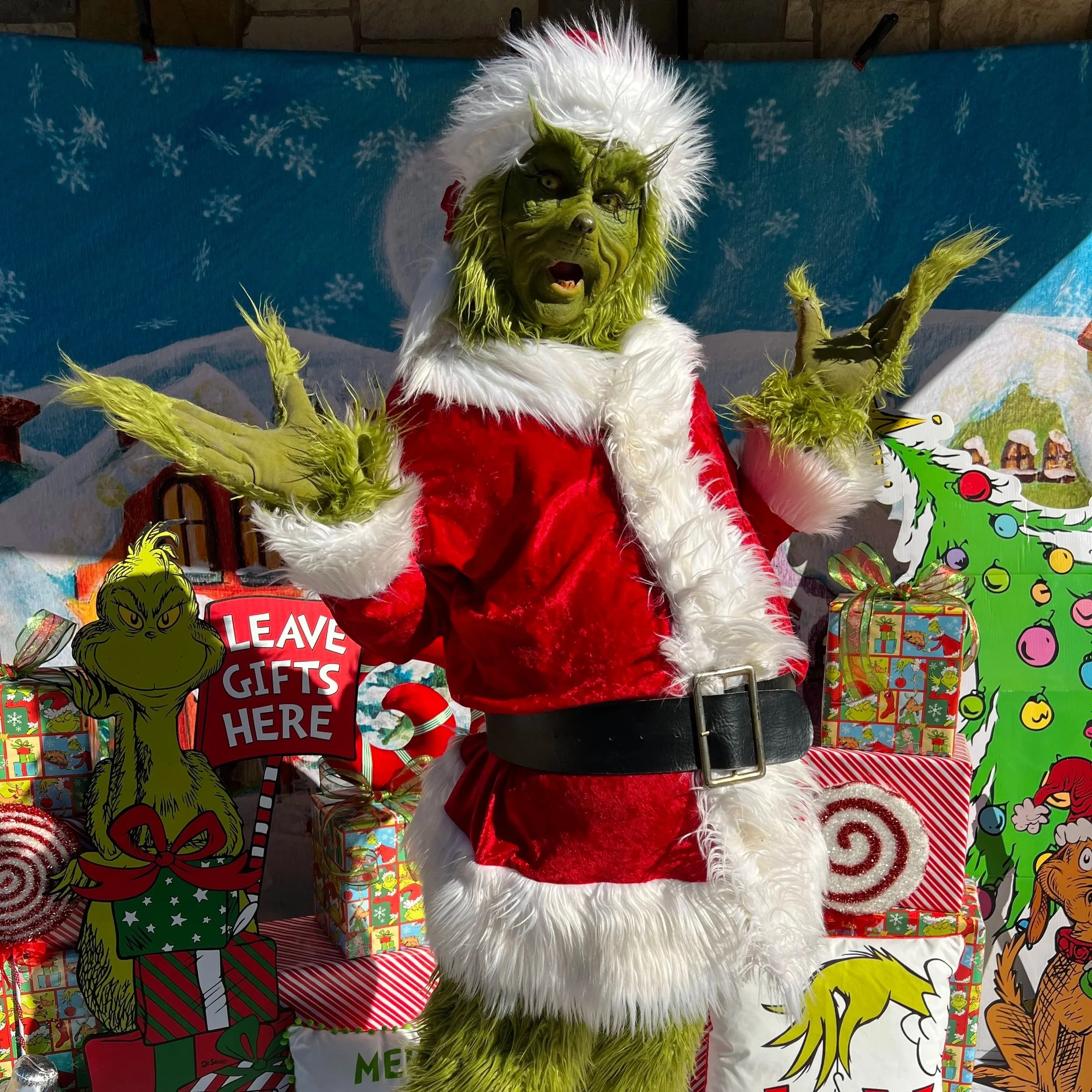 Grinchy Stole Christmas