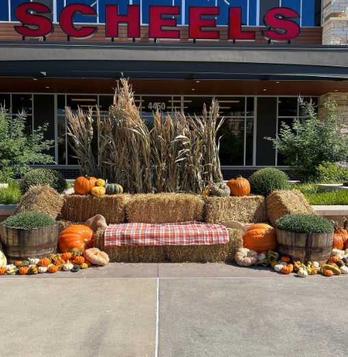 Screenshot 2026-01-25 at 11.54.26 AM.png