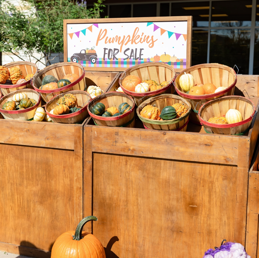 Screenshot 2026-01-25 at 11.55.51 AM.png