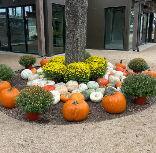 Screenshot 2026-01-25 at 11.54.56 AM.png