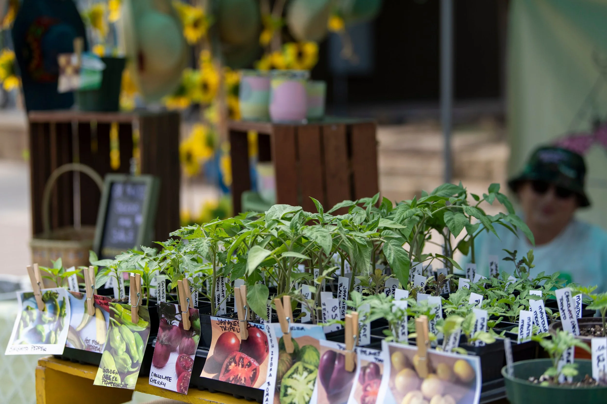 farmers market days-11.jpg