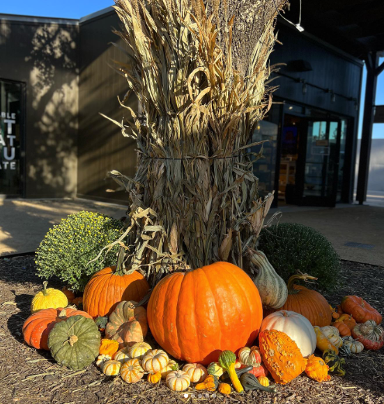 Screenshot 2026-01-25 at 11.54.04 AM.png