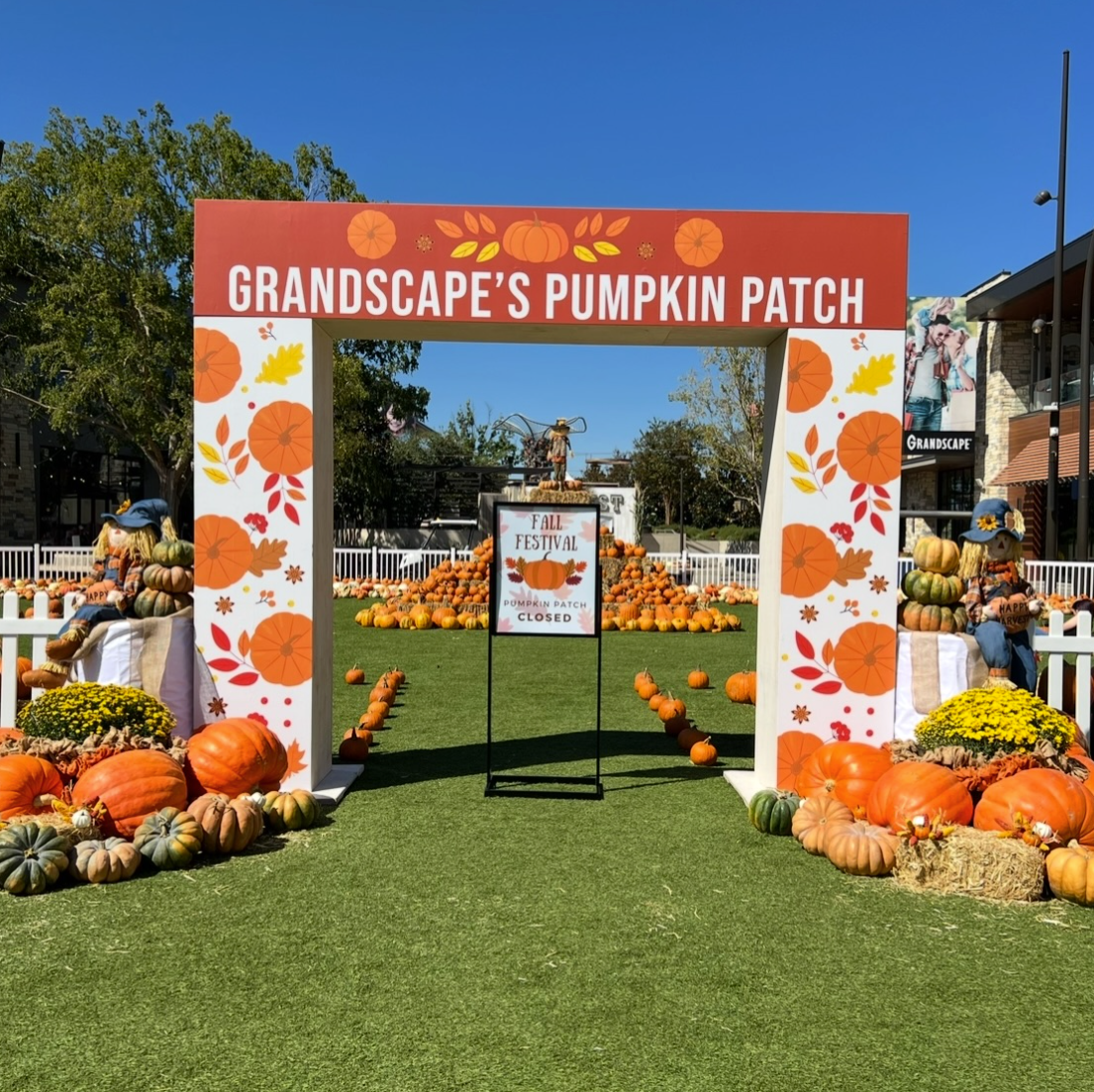 Screenshot 2026-01-25 at 11.55.43 AM.png