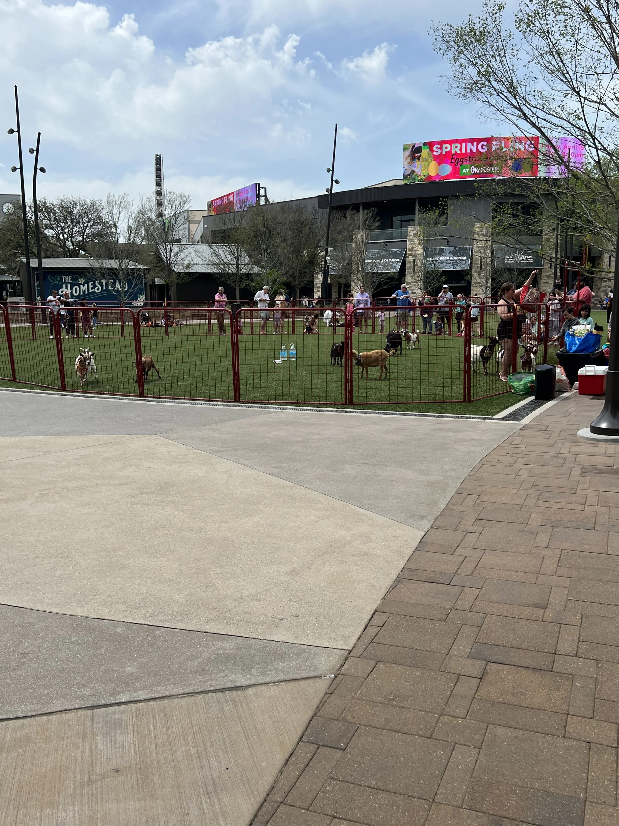 2022 Crunch and Munch_Goat Yoga_01.JPG