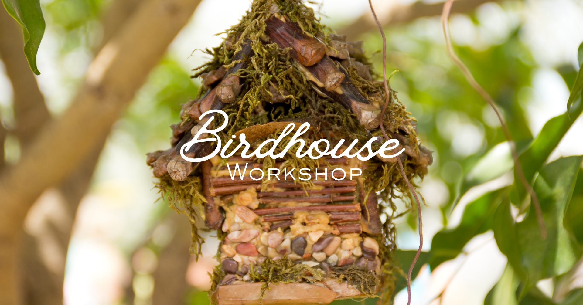 birdhouse workshop