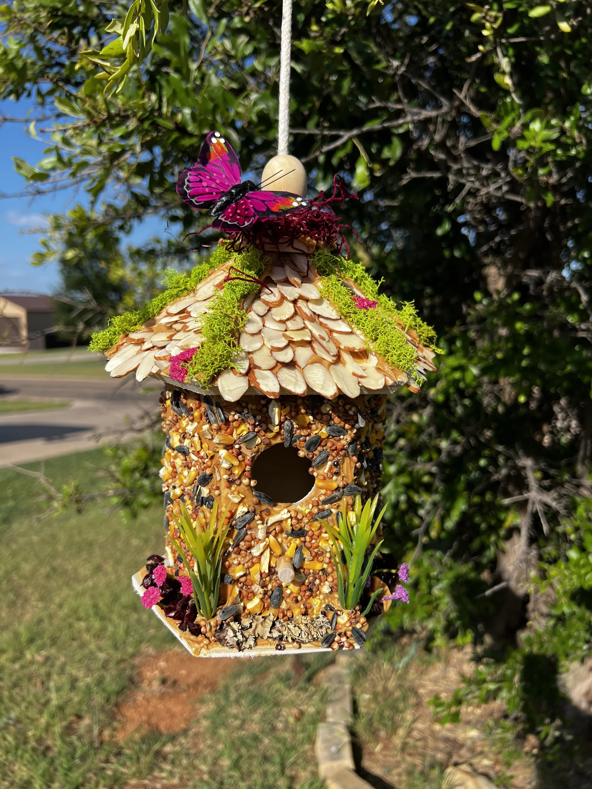 Birdhouse Workshop