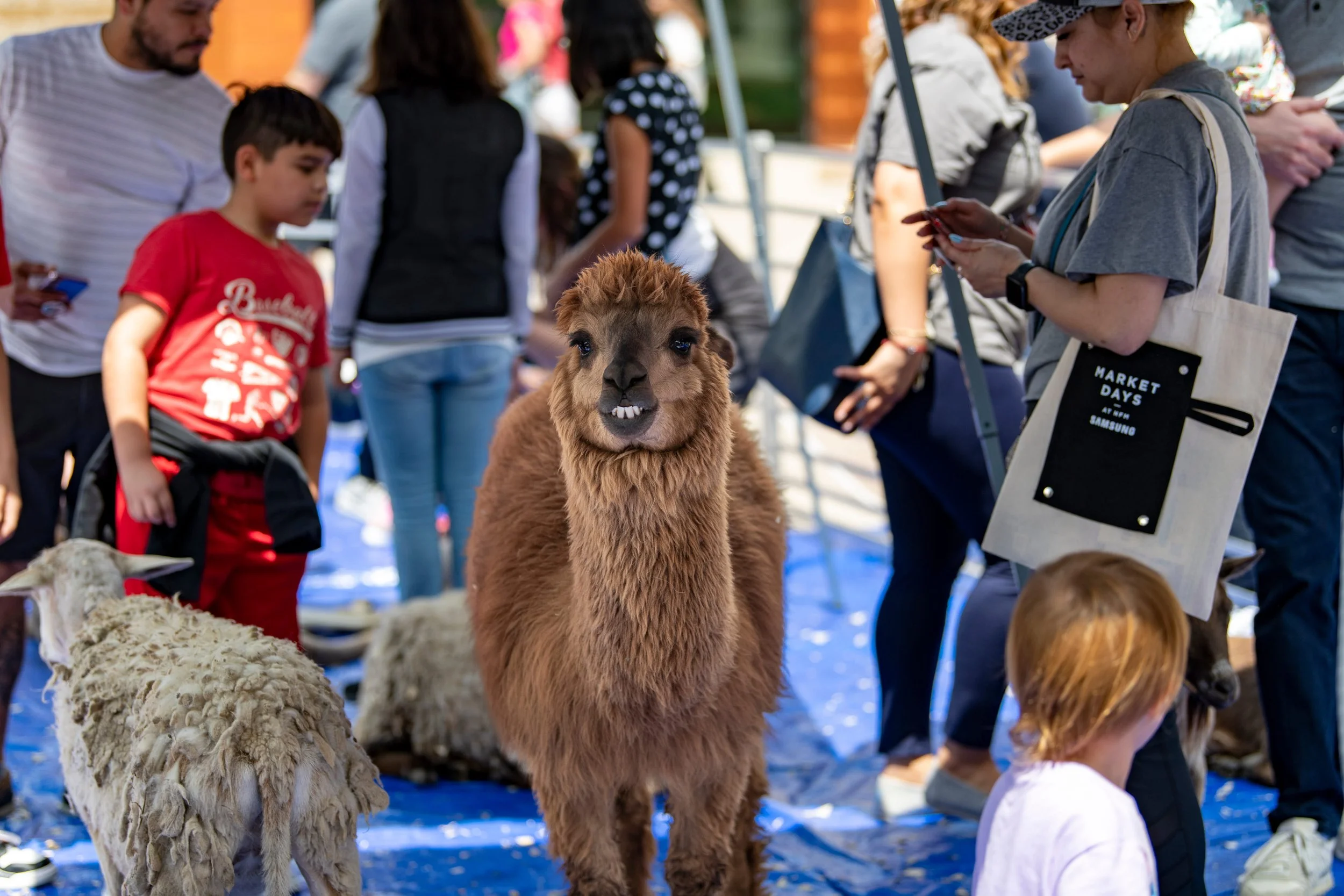 farmers market days-13.jpg