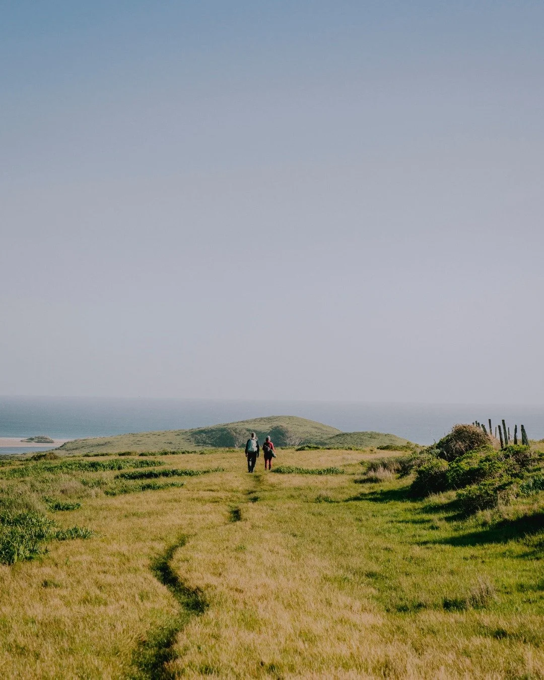 Marin and San Francisco are more than markets to us. They're home.

We spent years working and living in San Francisco before making the move to Marin to raise our family. It's a transition we know well, and one we've helped many clients navigate.

T