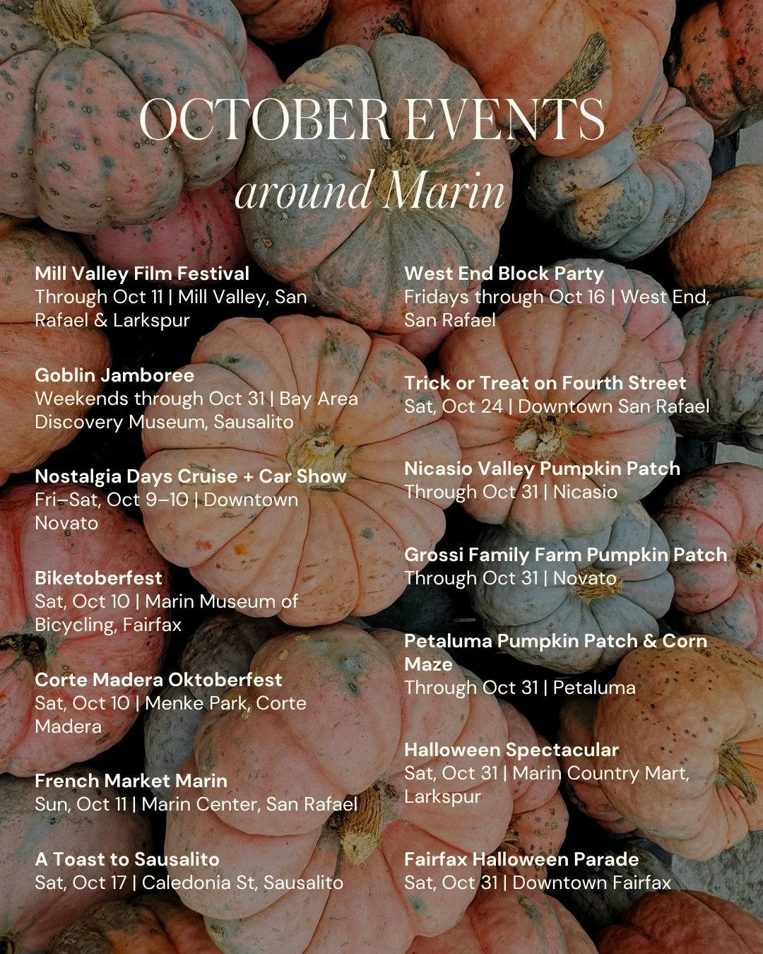 Things to do in Marin this October 🍂

A few we're looking forward to:
Nicasio Valley Pumpkin Patch
West End Block Party in San Rafael
The Halloween Spectacular at Marin Country Mart

What's on your list? Let us know in the comments if we missed anyt
