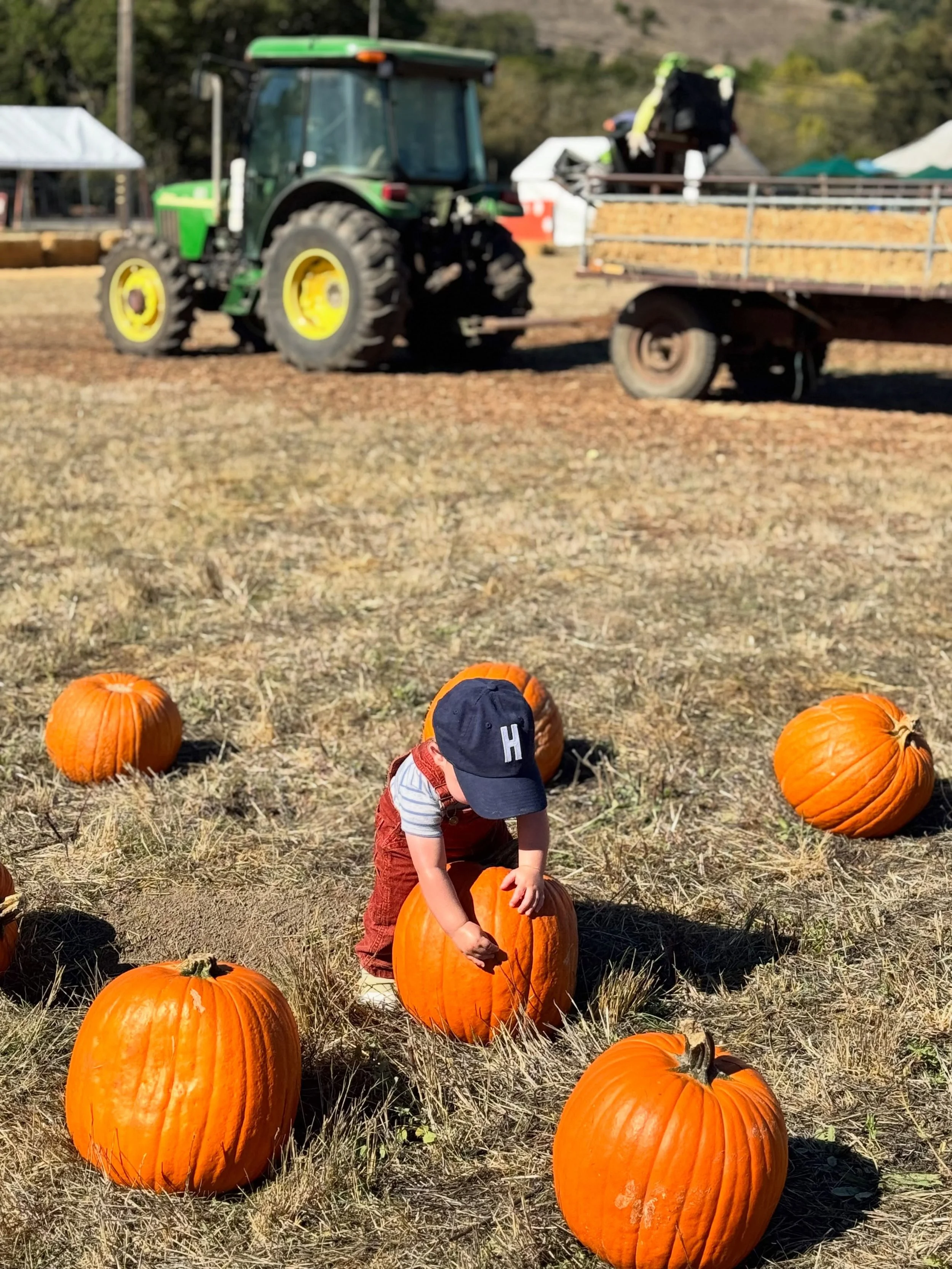 One of our favorite memories from last fall, and we&rsquo;re headed back this weekend! If you haven&rsquo;t made it out to a pumpkin patch yet either, there&rsquo;s still time. Here are our local favorites and a few worth the drive:

🎃 Marin Country