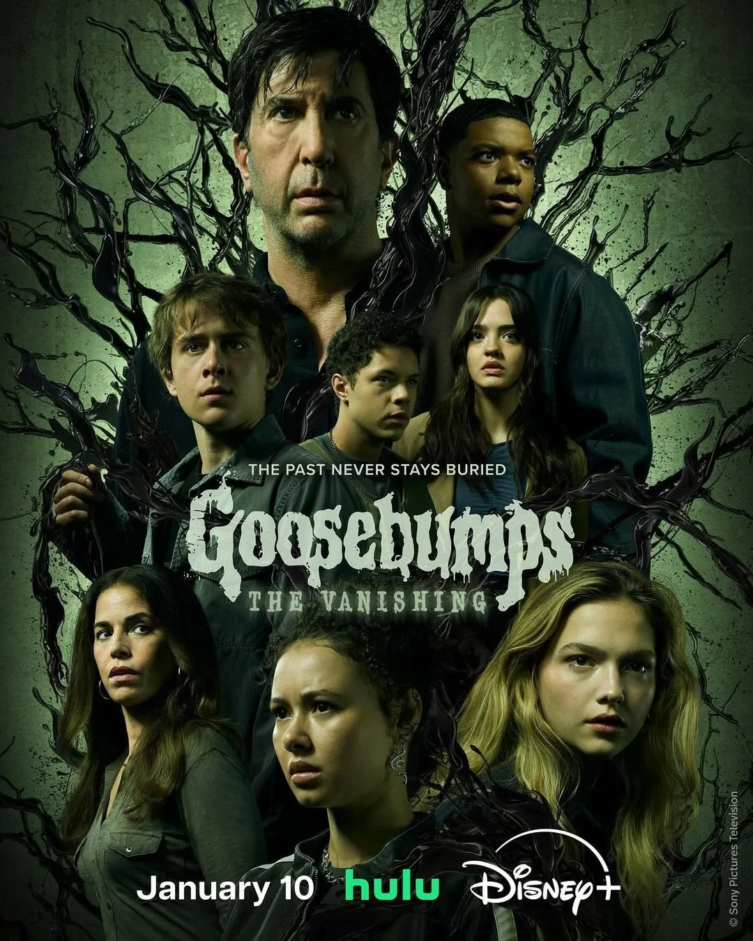GOOSEBUMPS.jpg
