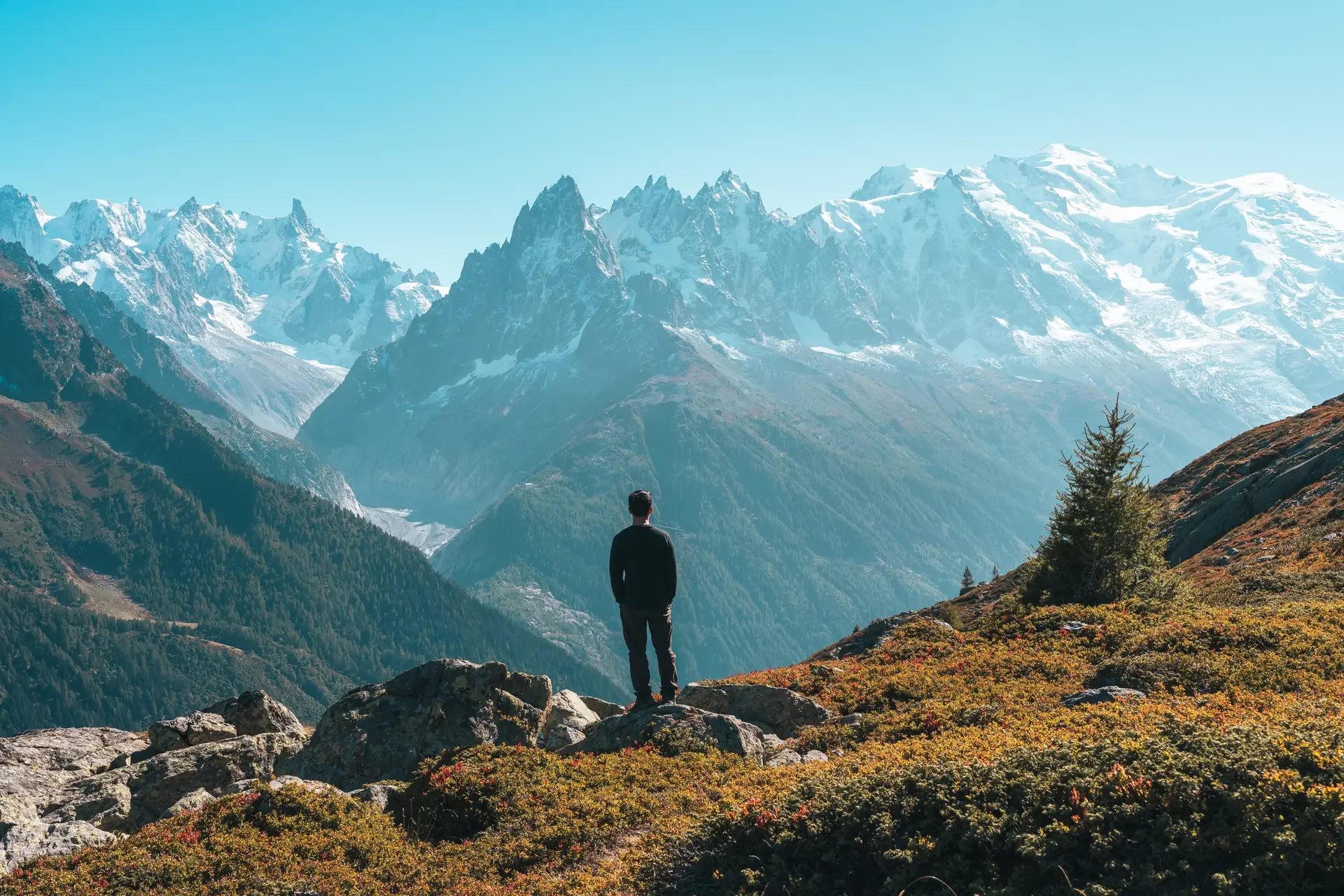 From Execution to Influence