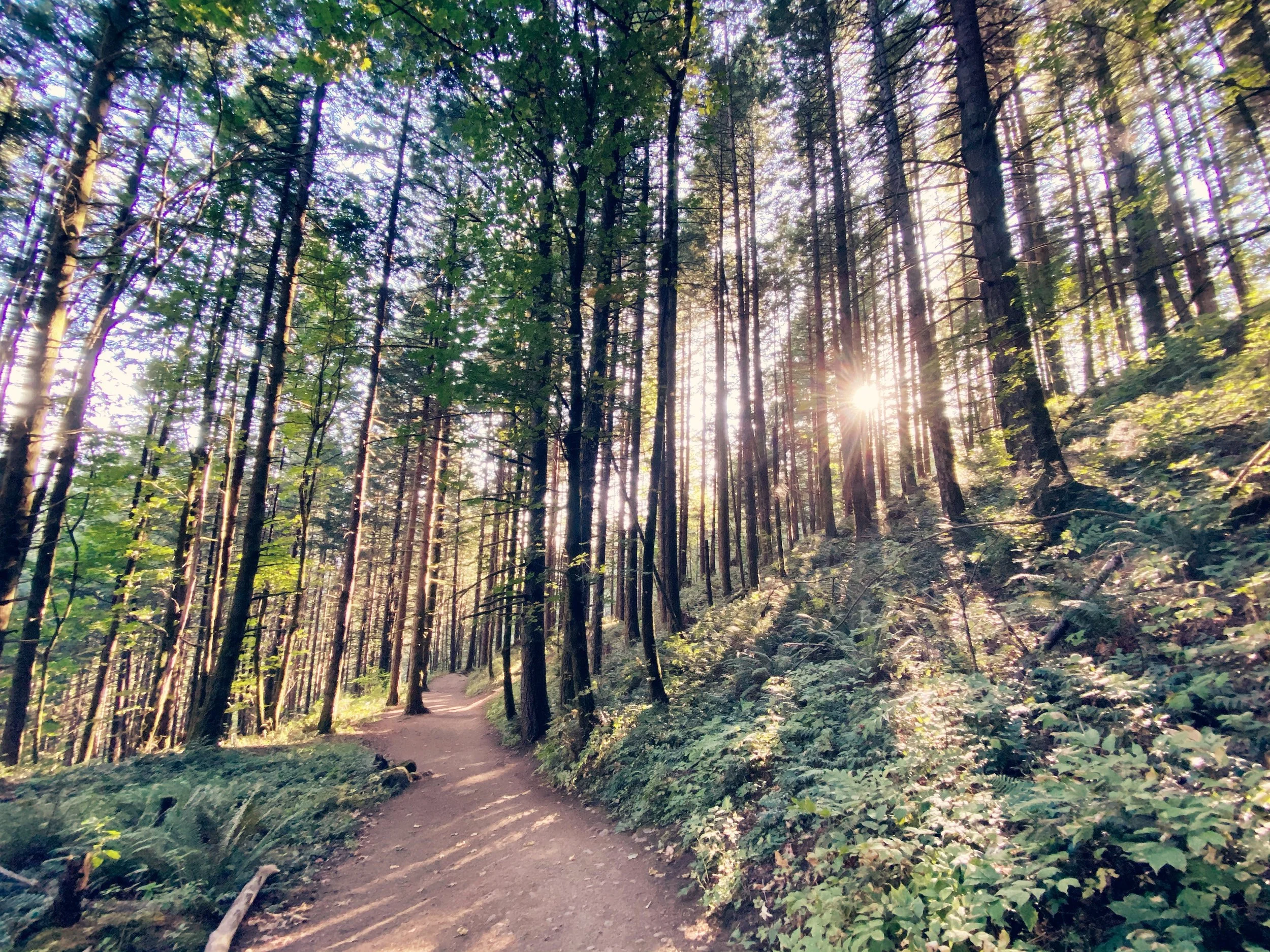 Constraints as Possibility 