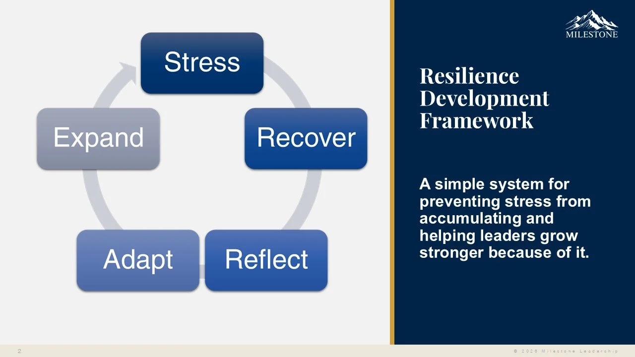 The Resilience Paradox
