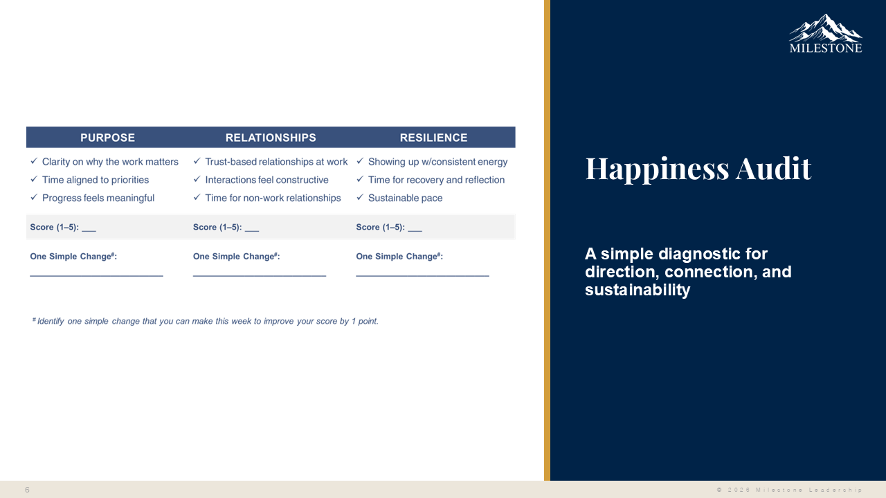 The Happiness Audit