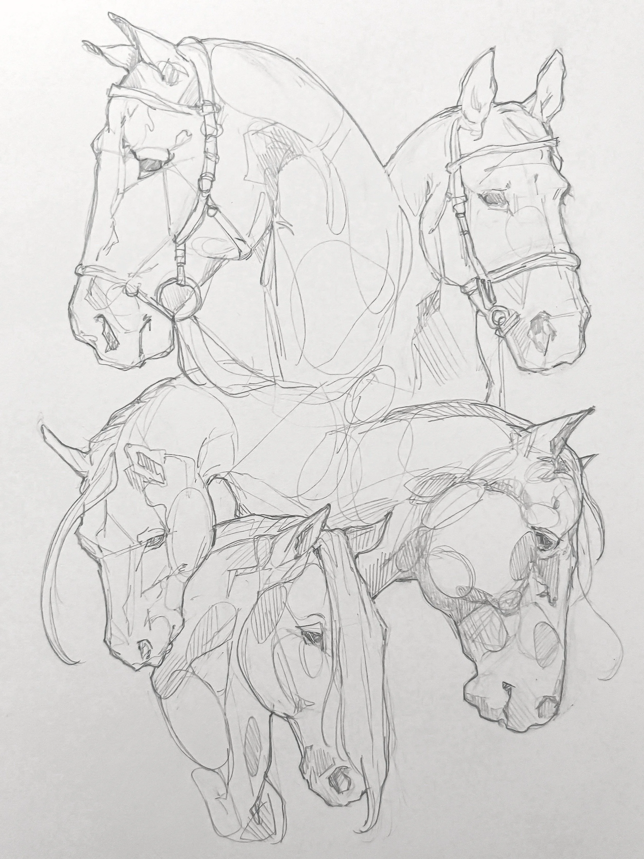 sketchbook