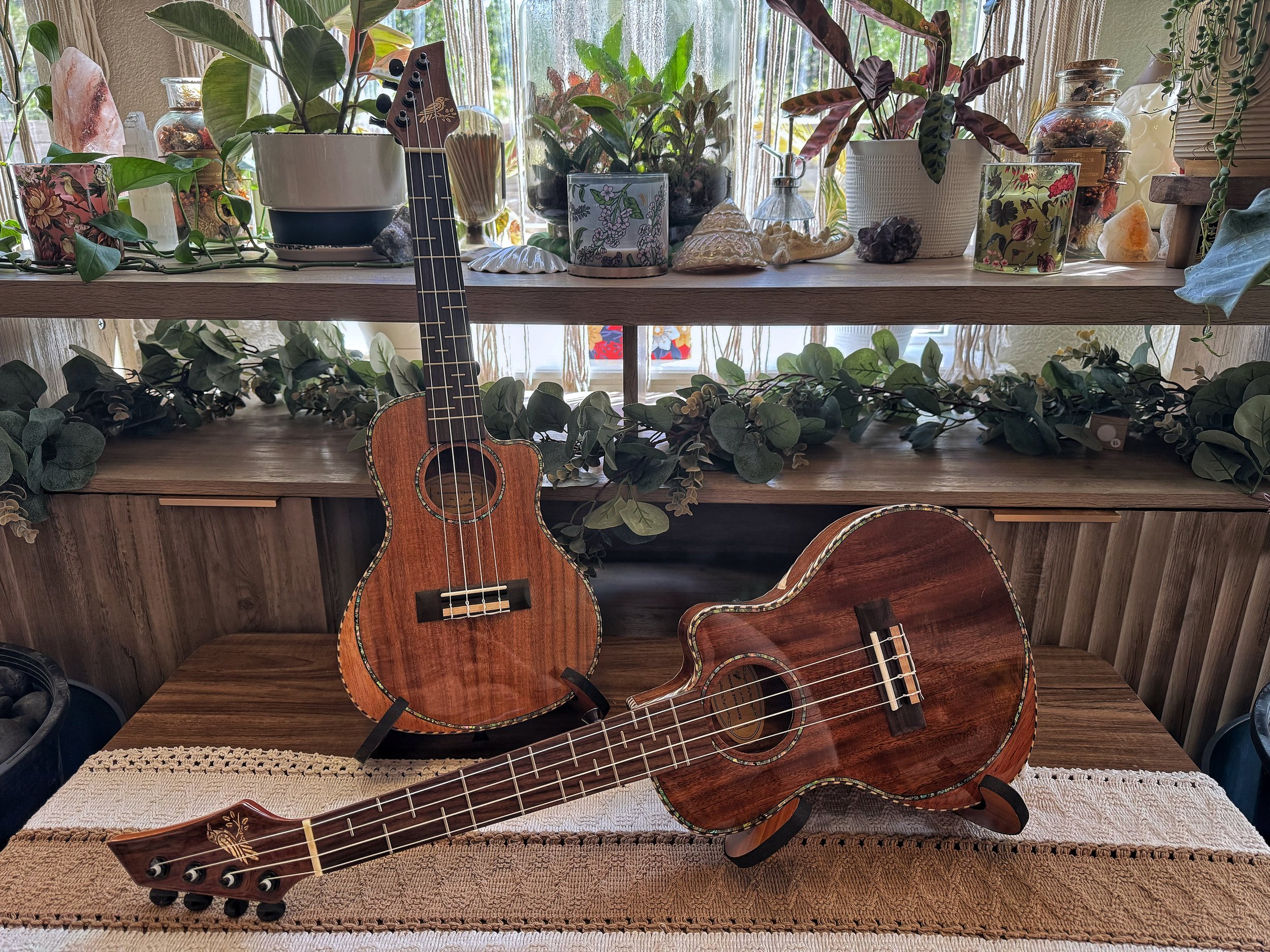 Two small wooden ukuleles on a wooden table, with a backdrop of potted plants, decorative jars, and containers on shelves behind them.