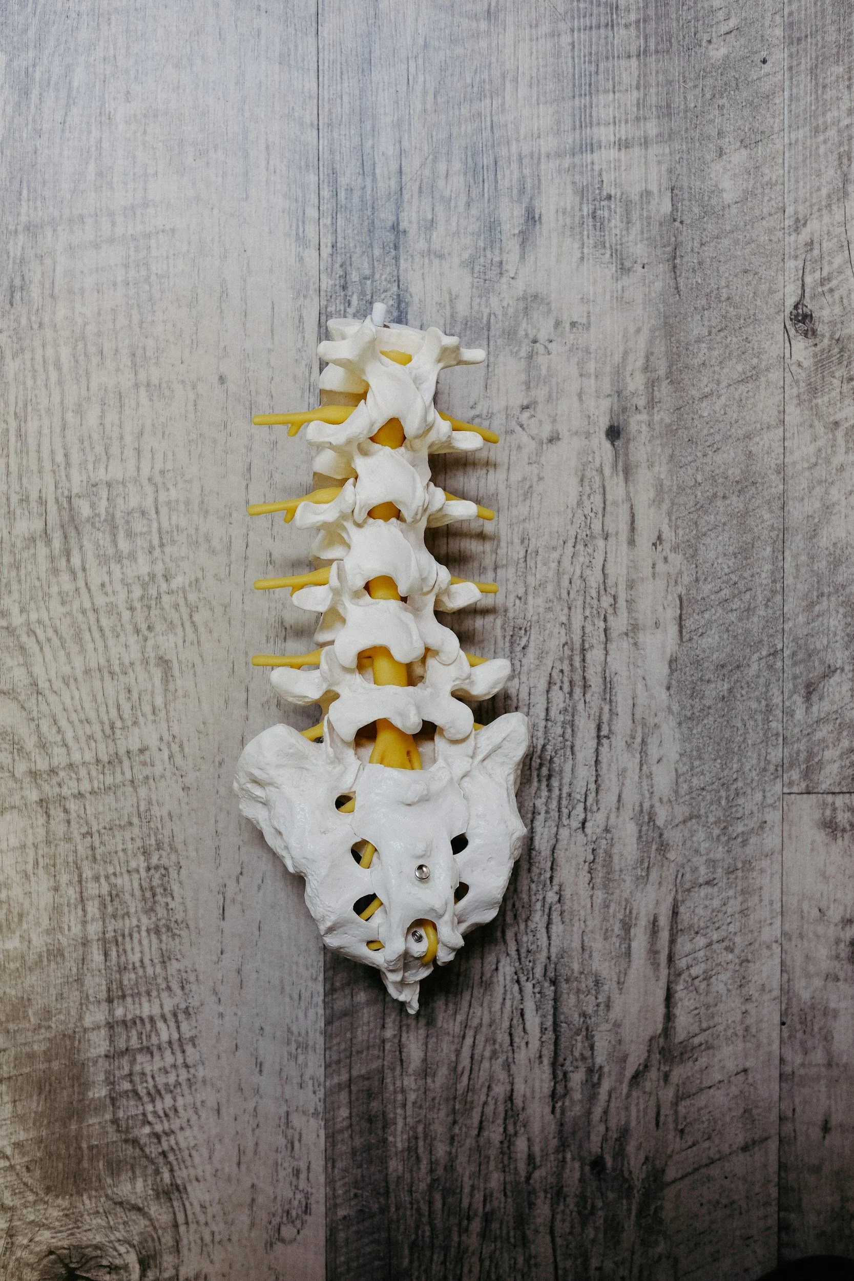 What Causes Pain to Travel From Your Back Into Your Leg?