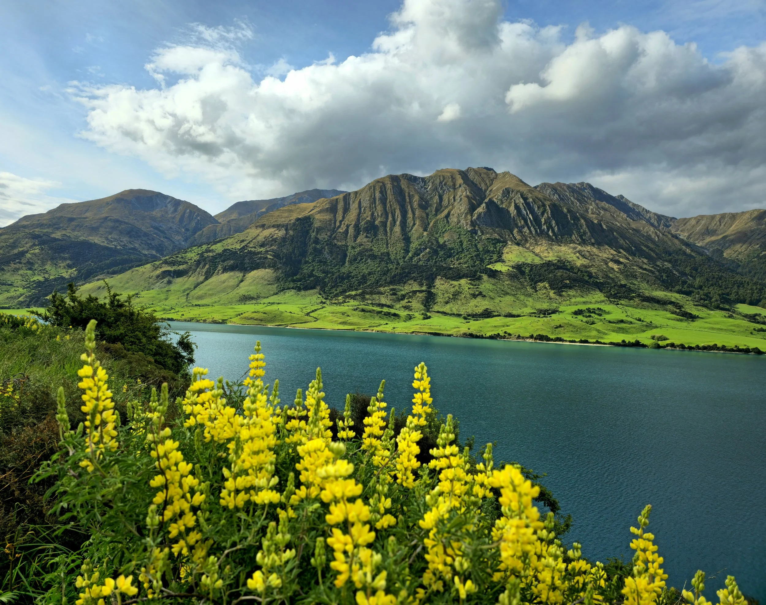 A scenic landscape features a body of water, lush green hills, and towering mountains in the background under a partly cloudy sky. Yellow flowers are in the foreground.