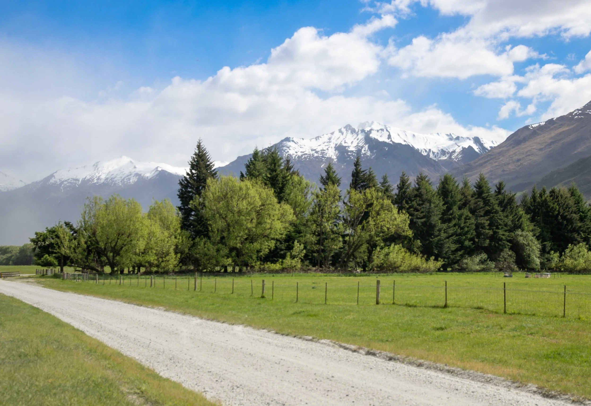 A scenic landscape featuring a dirt path winding through a grassy field, with a mix of green trees in the middle ground, and snow-capped mountains under a partly cloudy blue sky in the background.