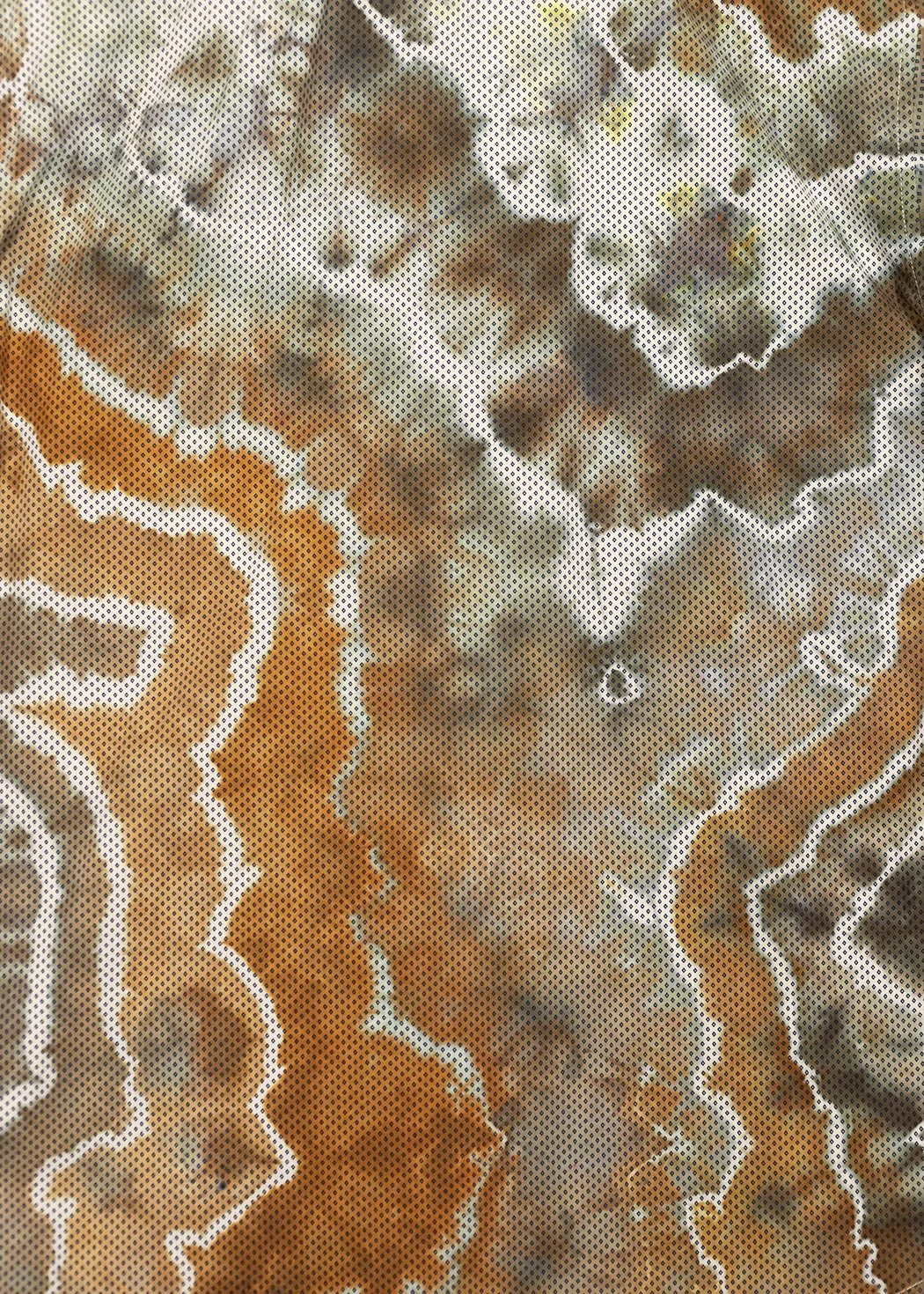 237A0185.jpg