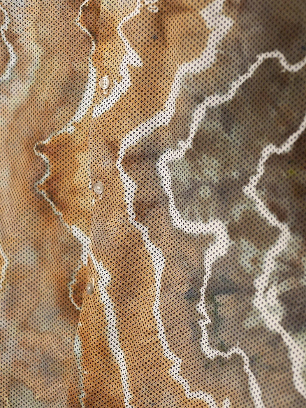 237A0179.jpg